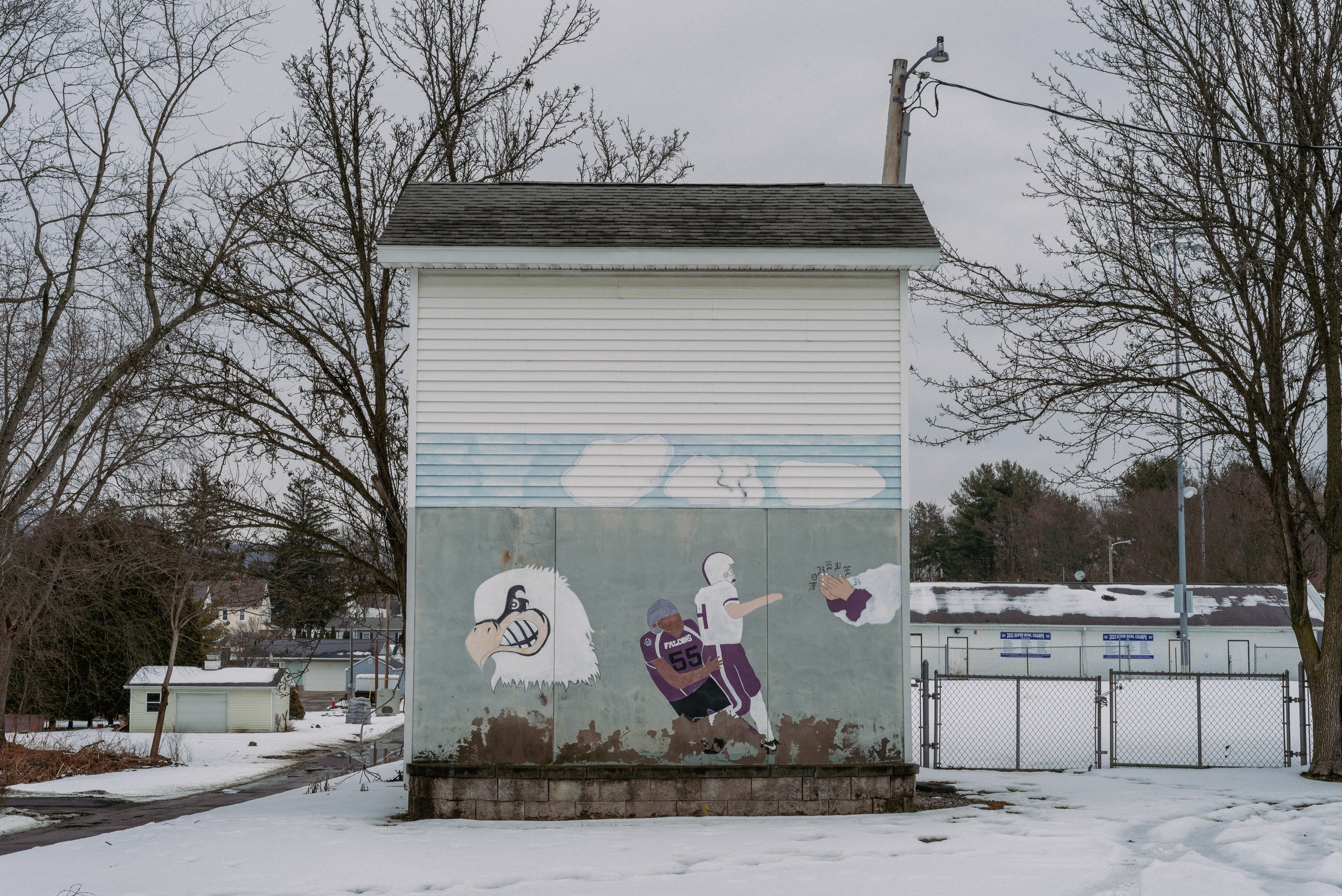 2026 Falcons Forever in the Snow 1 - Scranton PA L.jpg