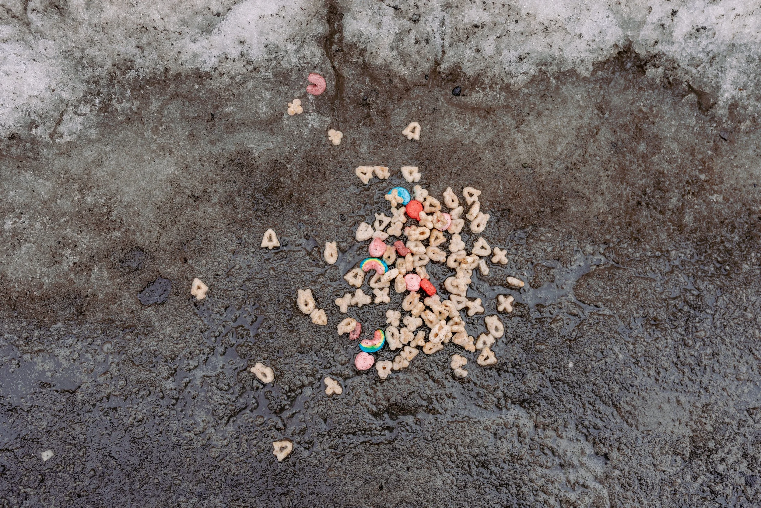 2026 Lucky Charms in the Snow - Scranton PA L.jpg