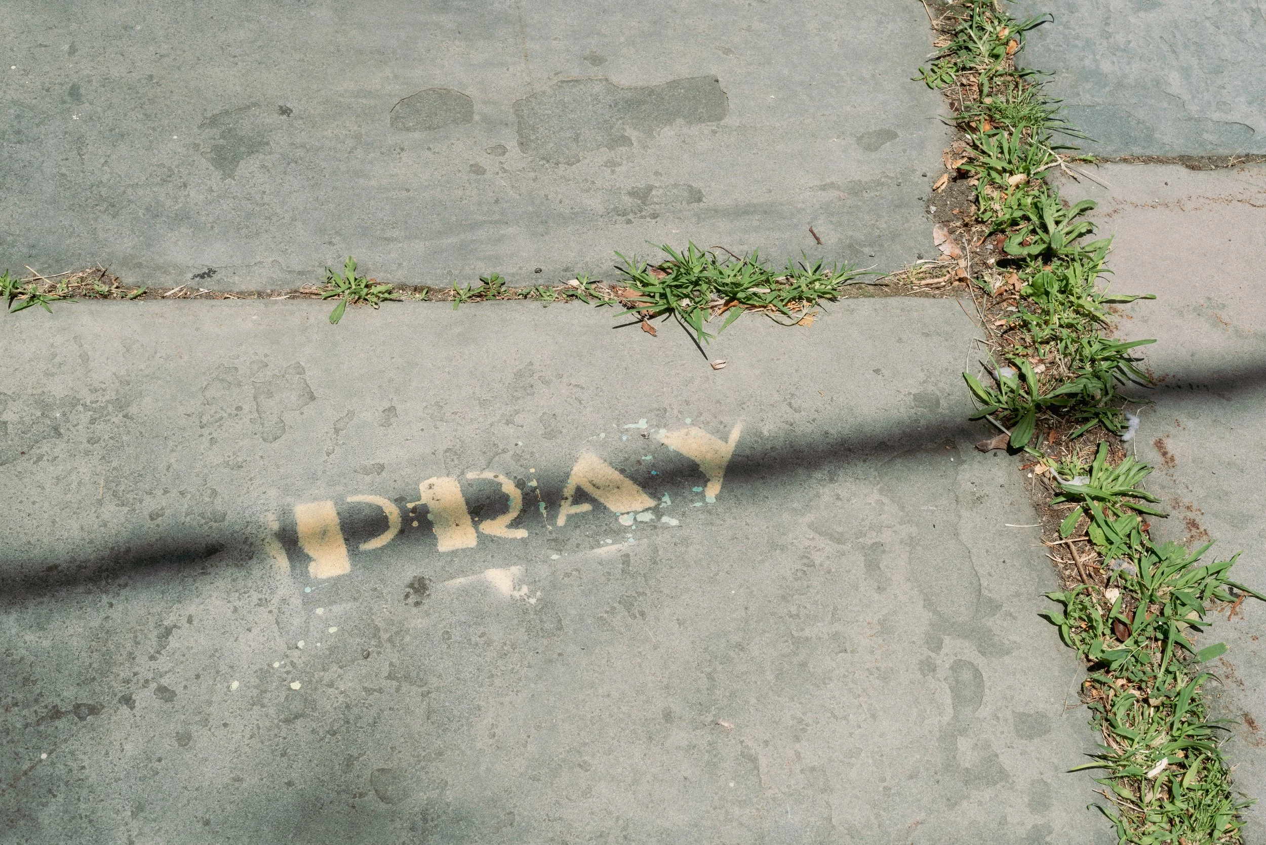 2026 Pray - Newburgh NY L.jpg
