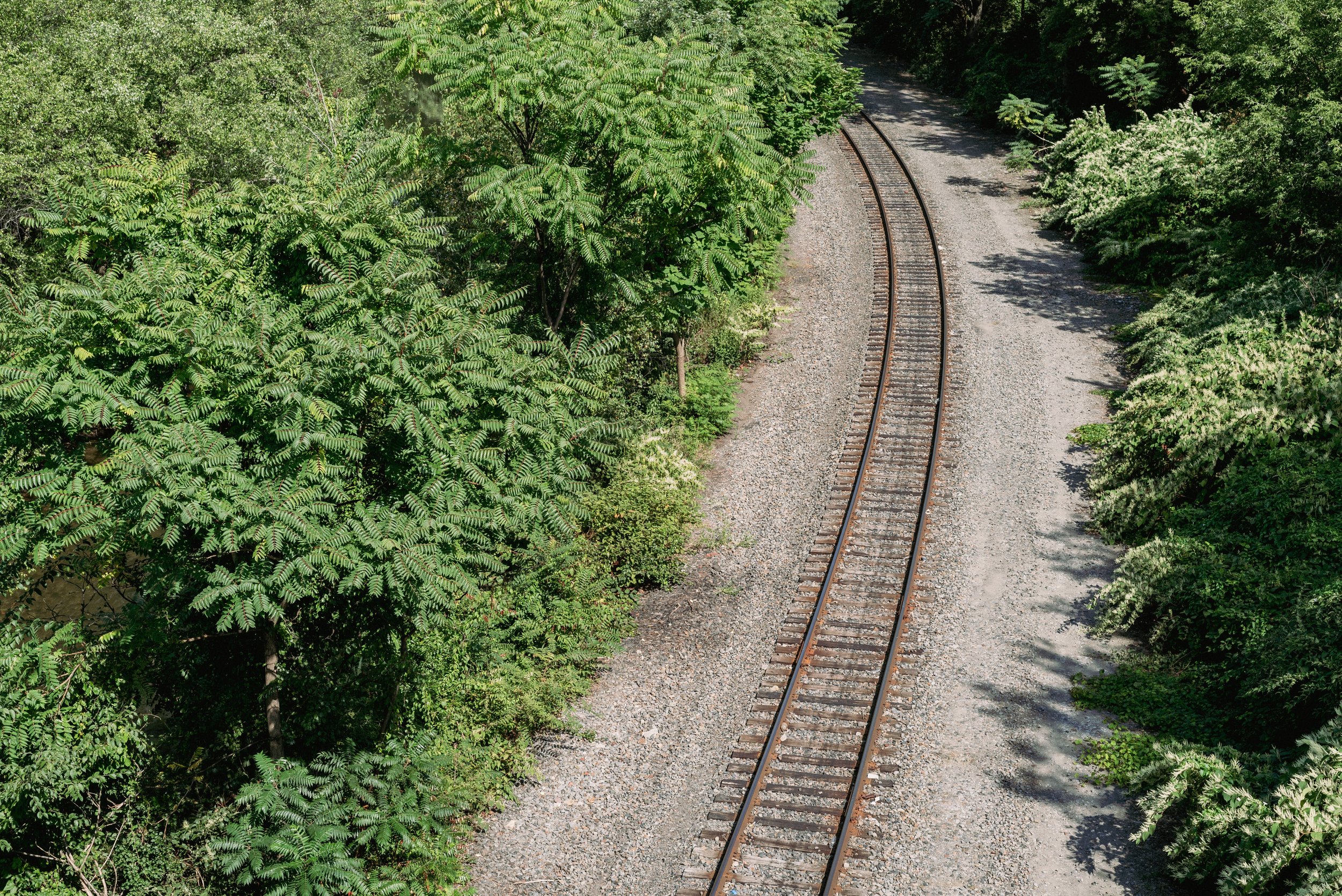 2024 Train Tracks - Scranton PA L.jpg