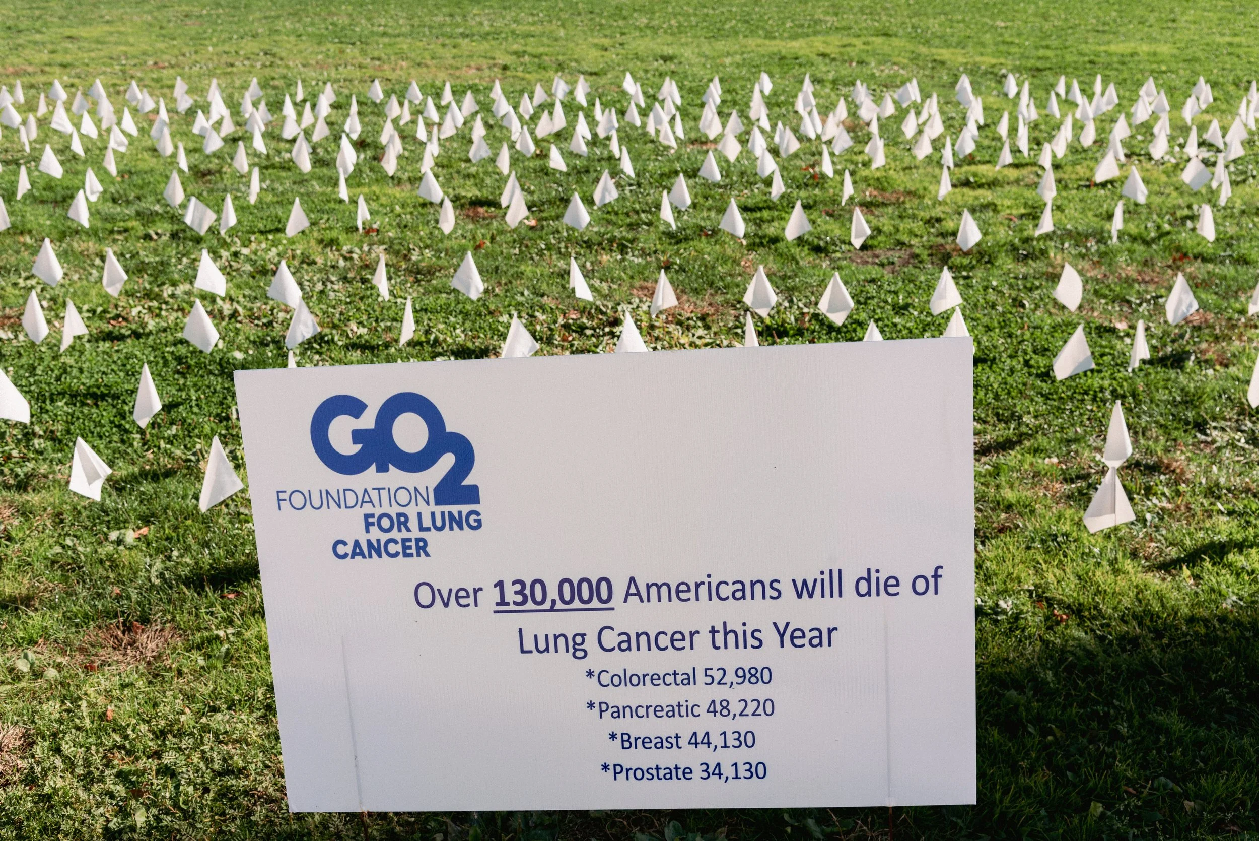 2024 Lung Cancer Flags 2 - Scranton PA L.jpg