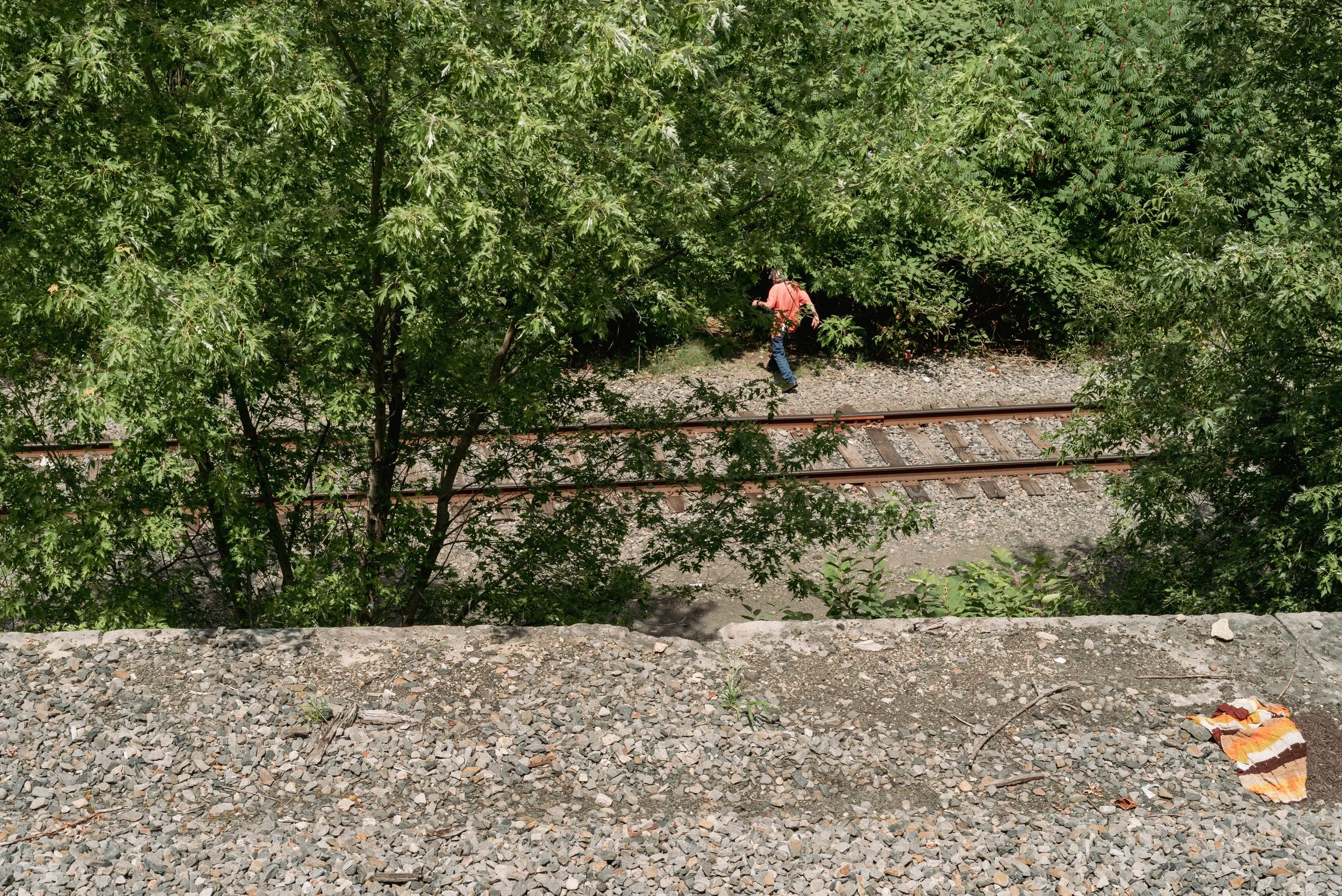 2026 Into The Woods - Scranton PA L.jpg