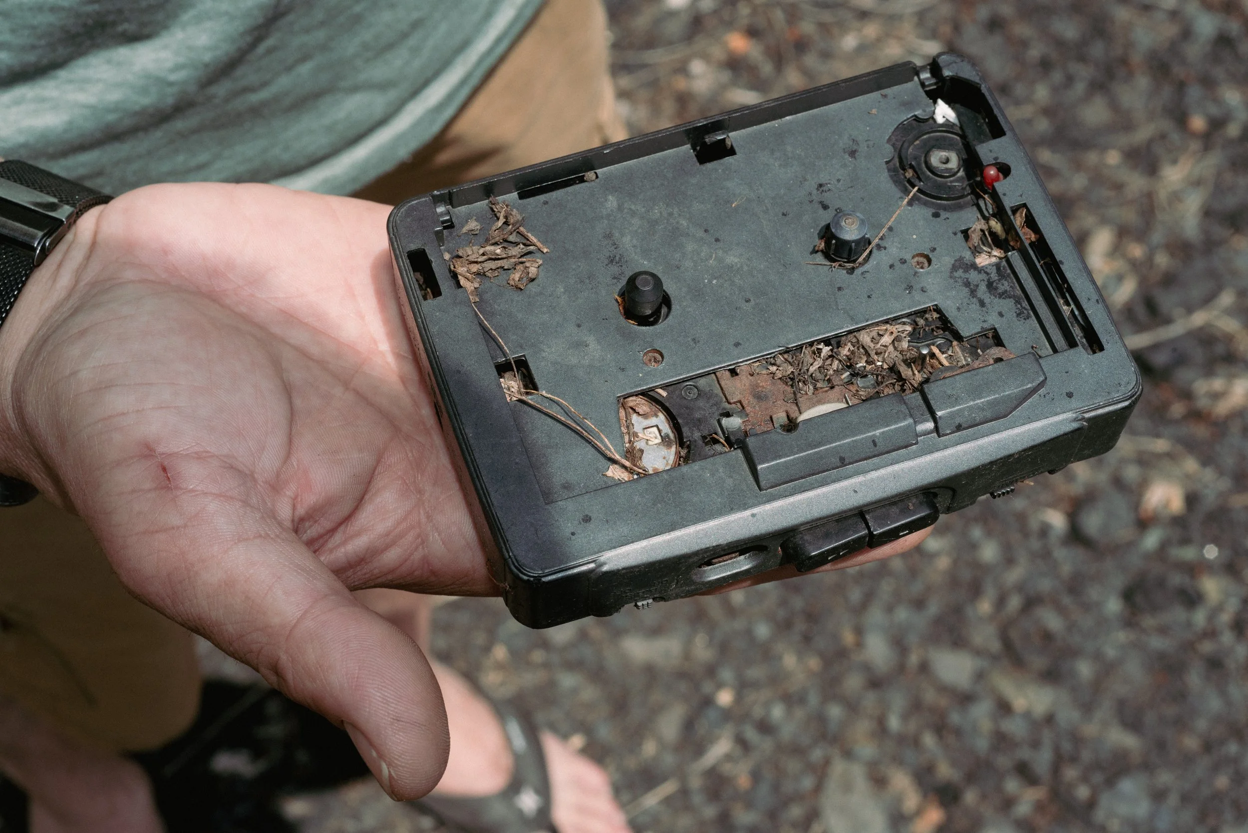 2026 Walkman 01 - Scranton PA L.jpg