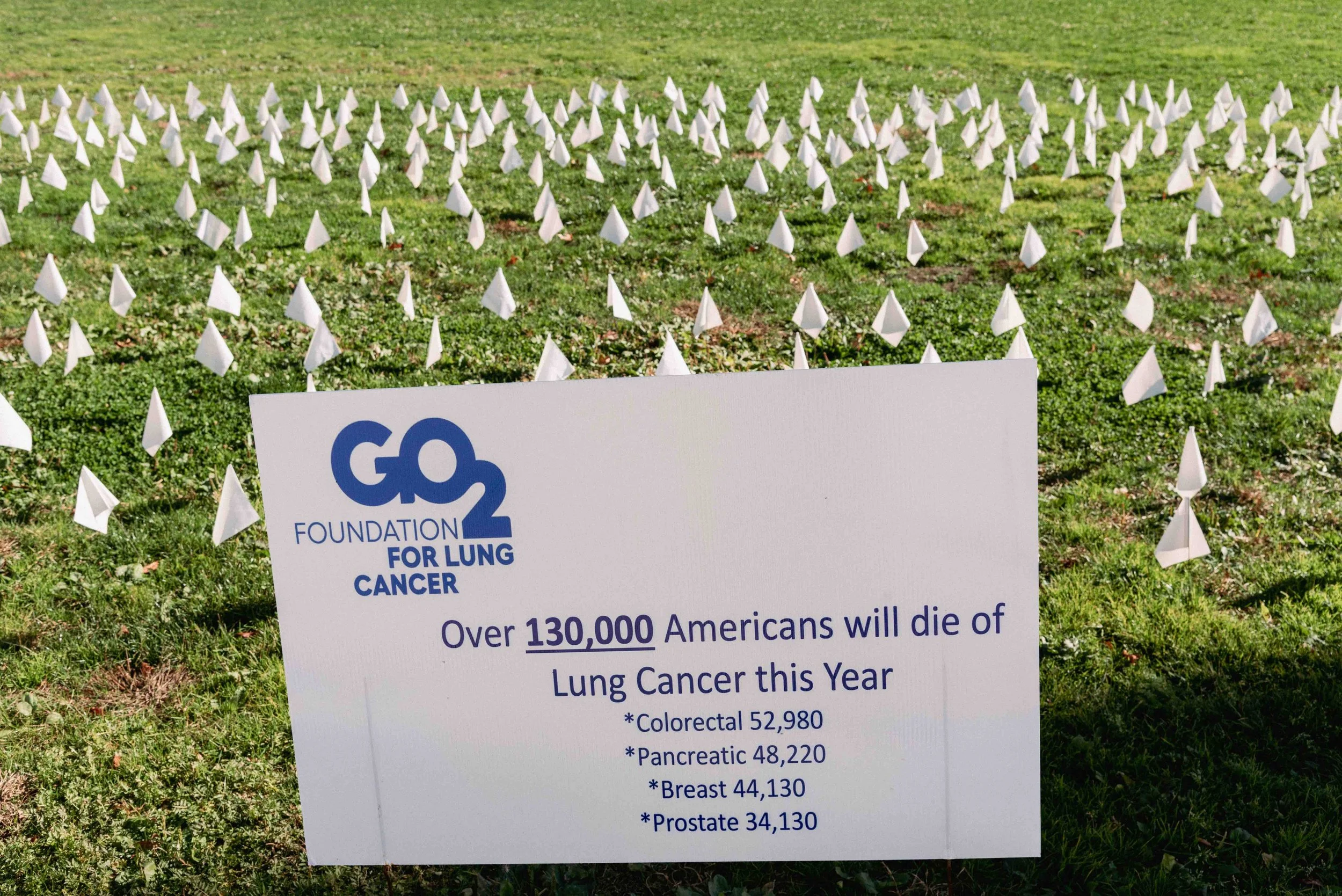 2024 Lung Cancer Flags 2 - Scranton PA L.jpg