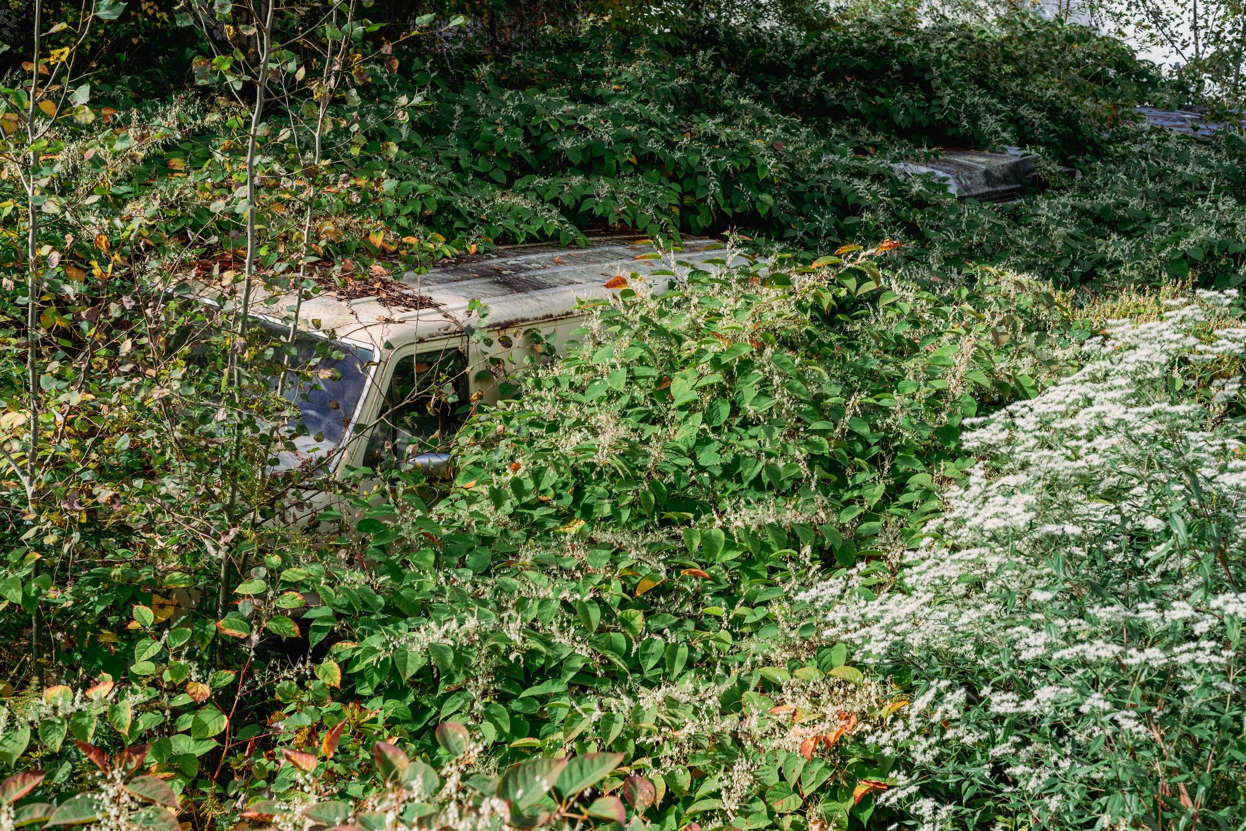 2024 Overgrown Van 2 - Throop PA L.jpg