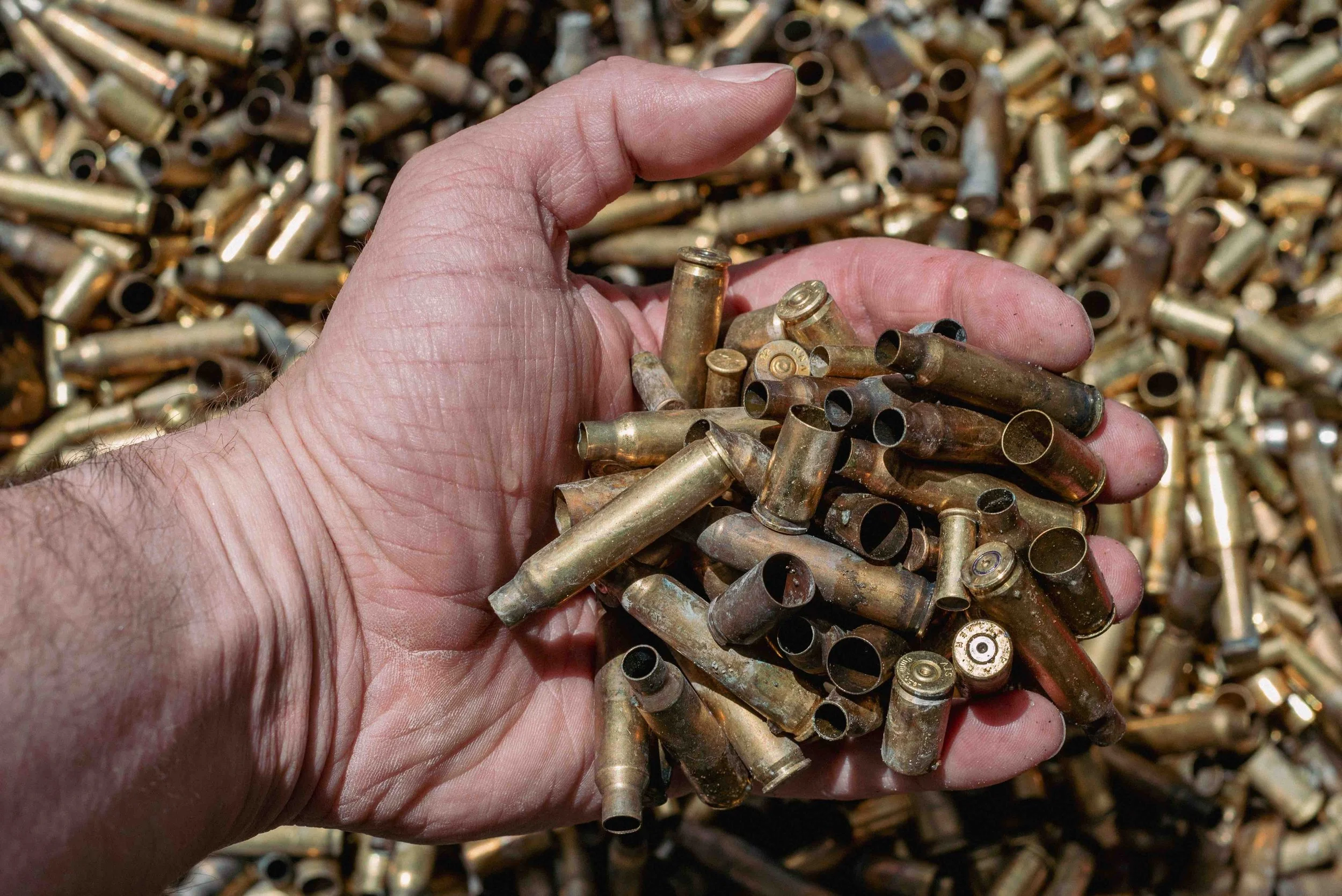 2025 Ammo Shells 3 - Carbondale PA L.jpg