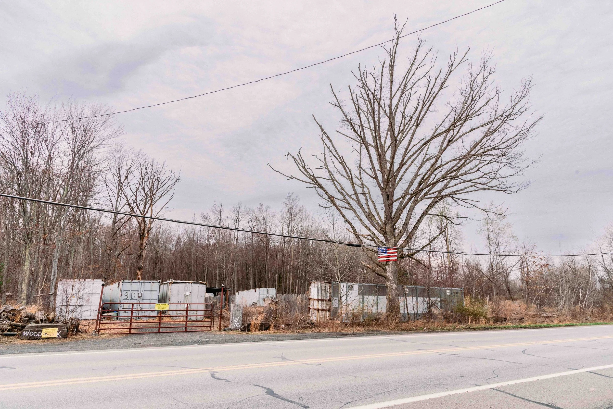 2025 Flag Tree 1 - Archbald PA L.jpg