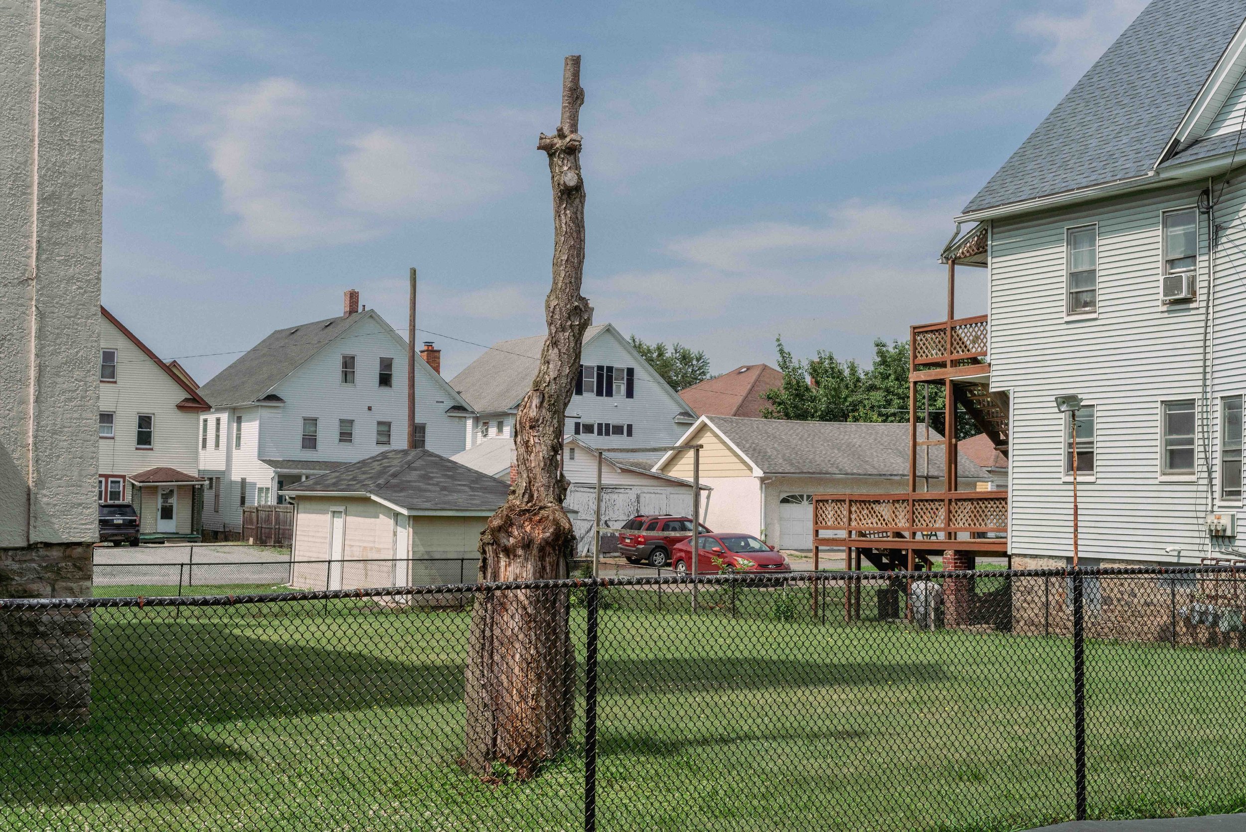 2025 St Mark's Yard 1 - Scranton PA L.jpg