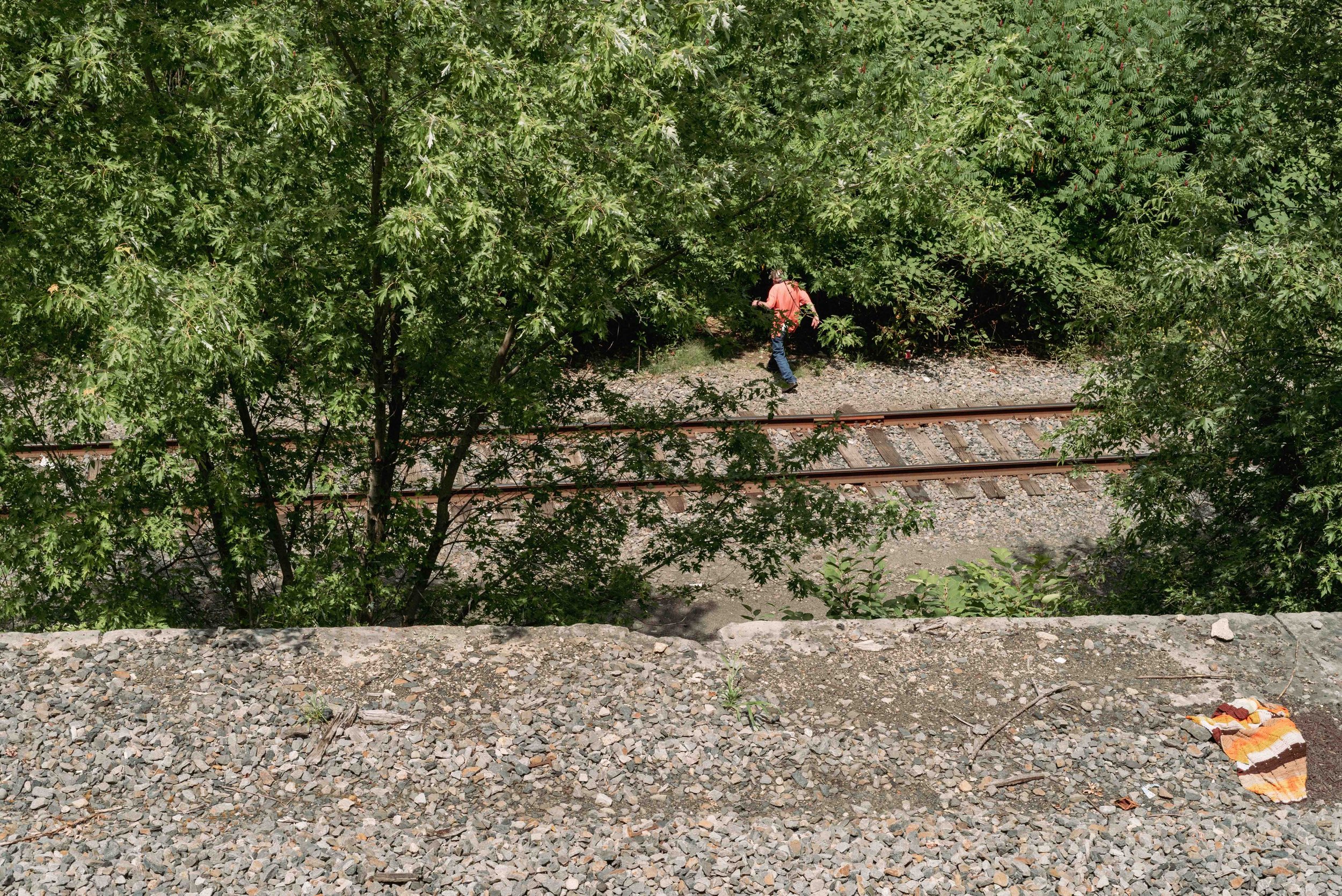 2026 Into The Woods - Scranton PA L.jpg