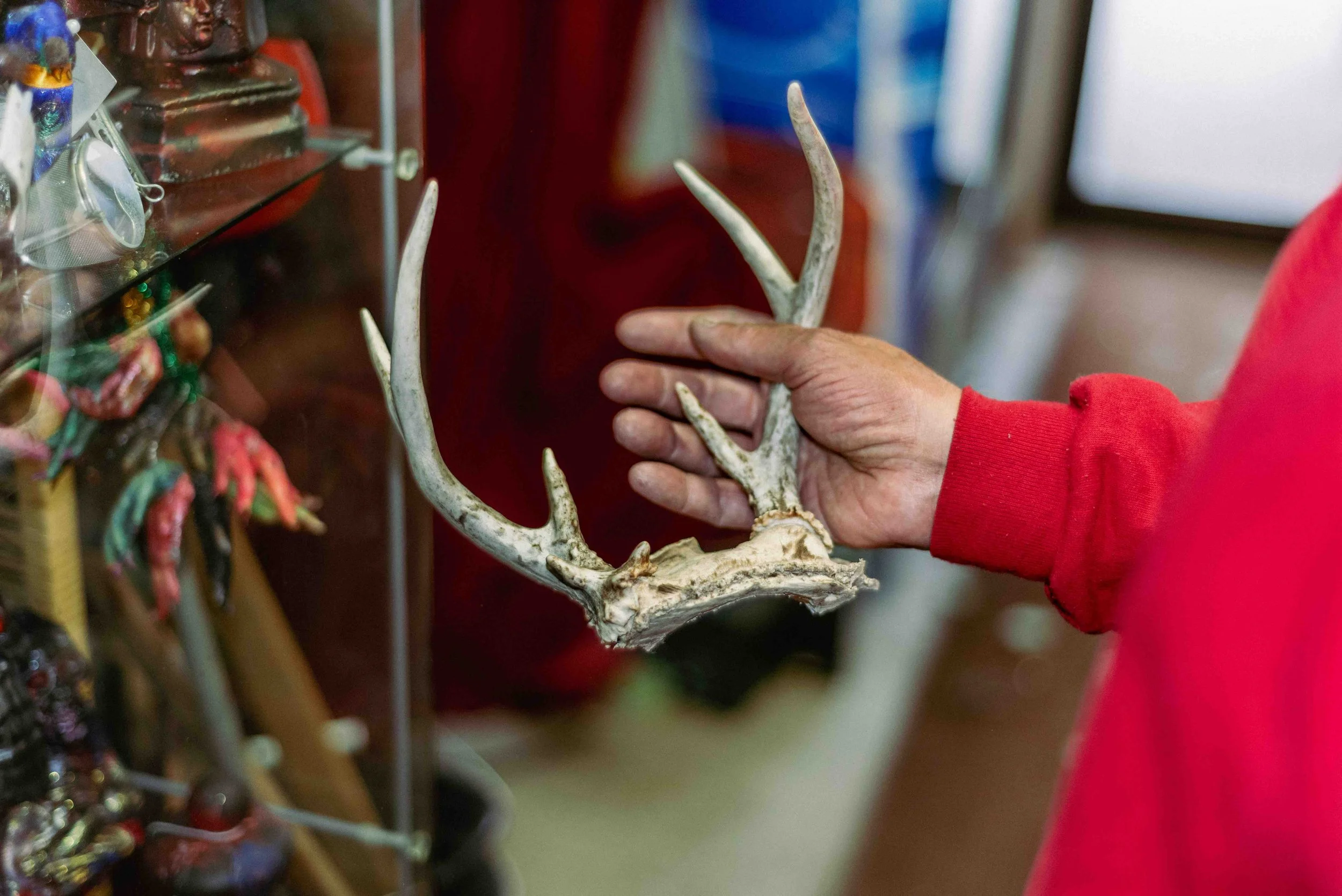 2026 Antlers 3 - Forest City PA L.jpg