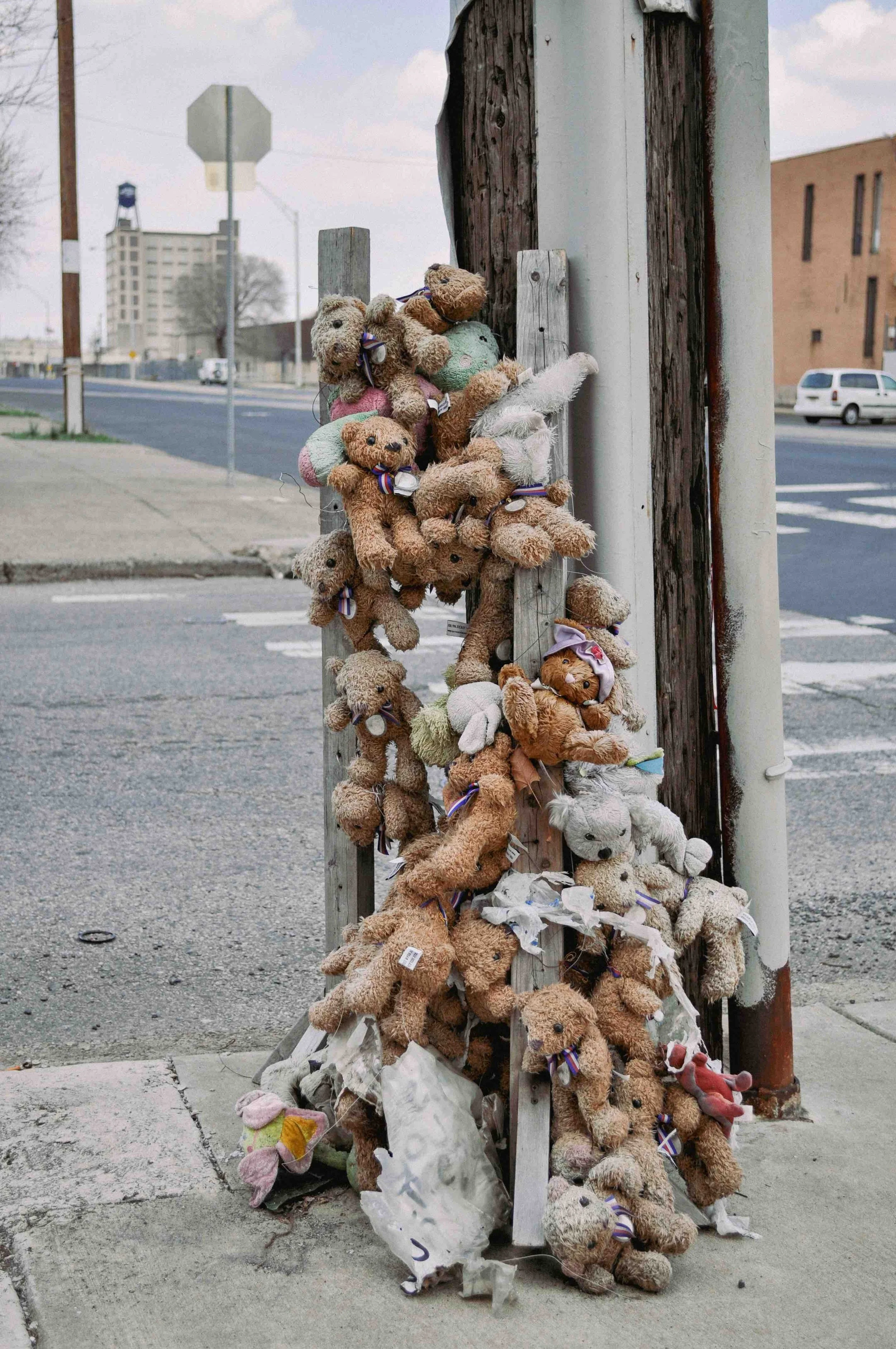 2011 Bear Pole - Philadelphia PA L.jpg