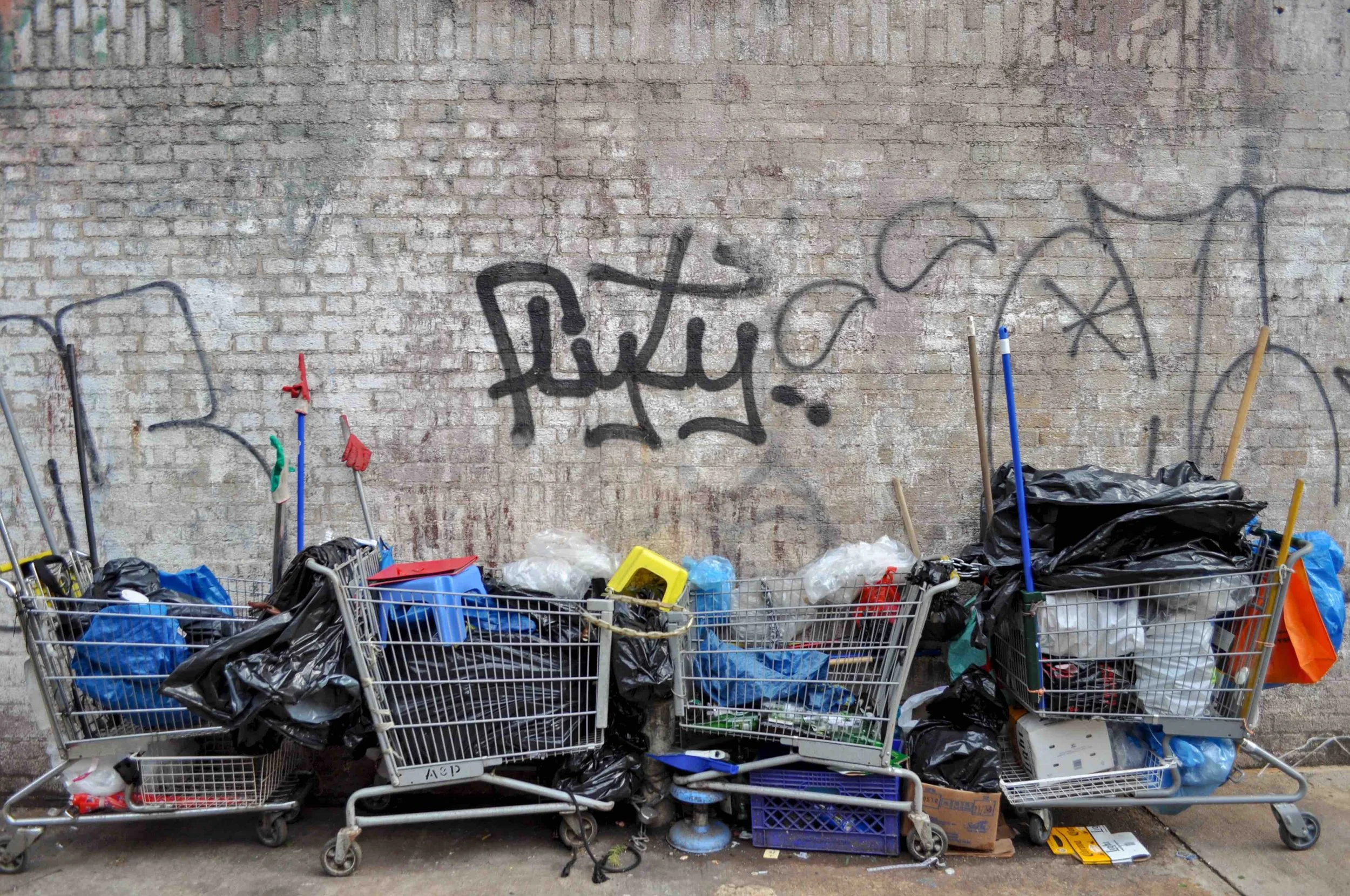 2012 Lower East Side Carts - Manhattan NY L.jpg