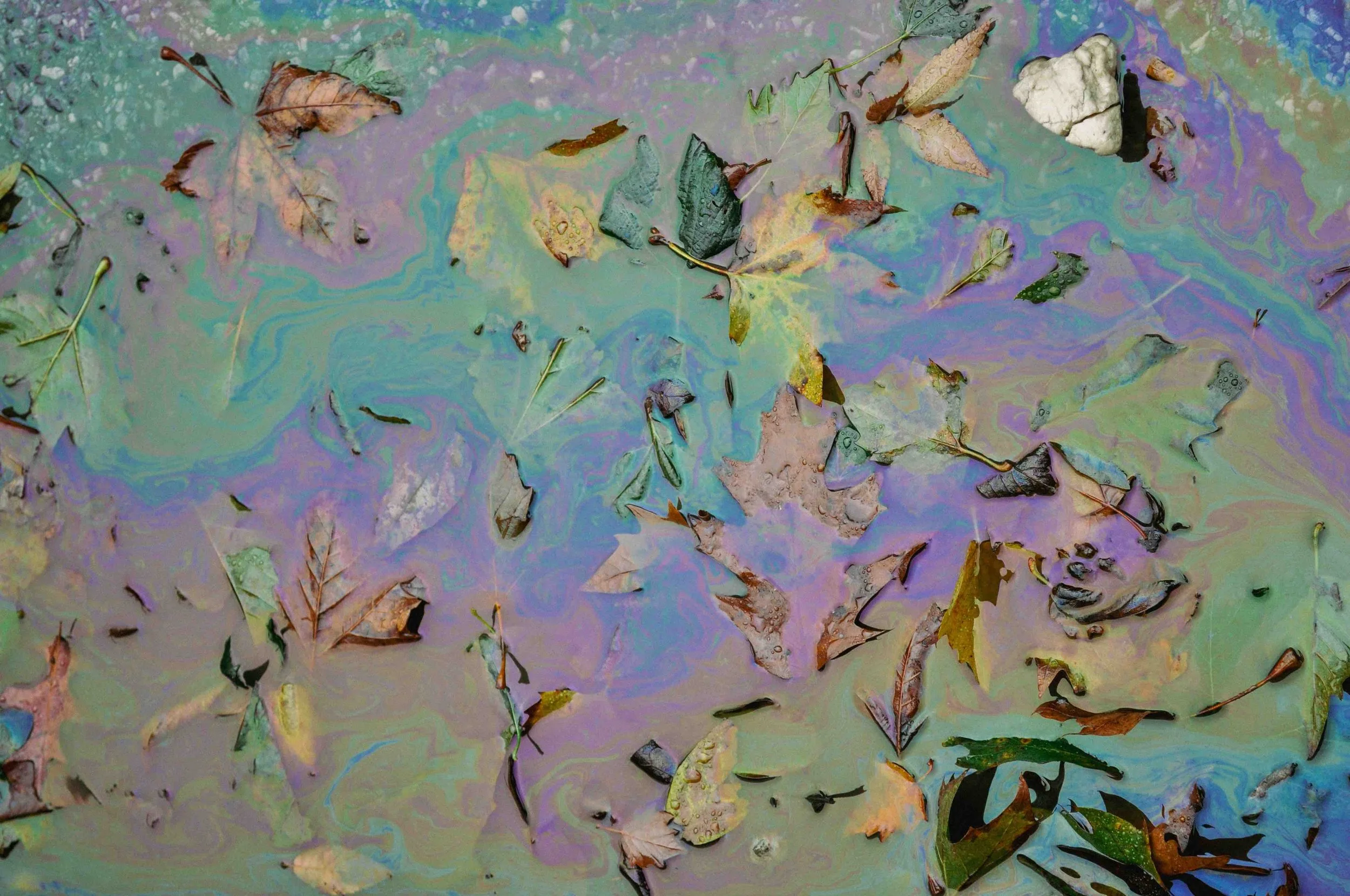 2012 Oil Slick - Brooklyn NY L.jpg