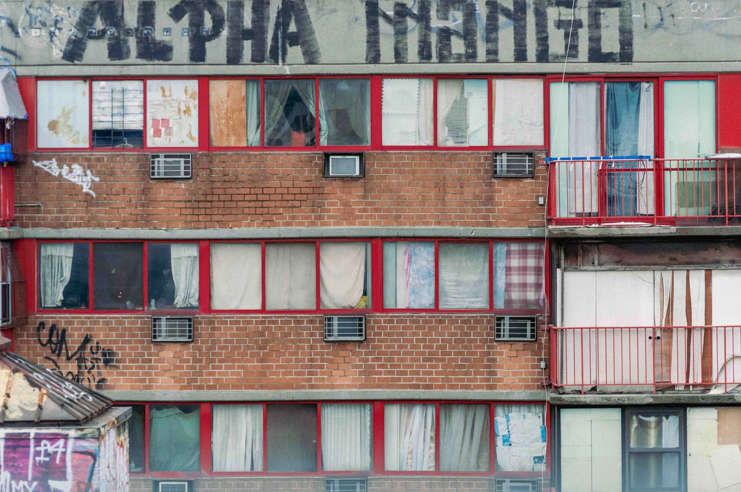 2015 Alpha Mango - Manhattan NY L.jpg
