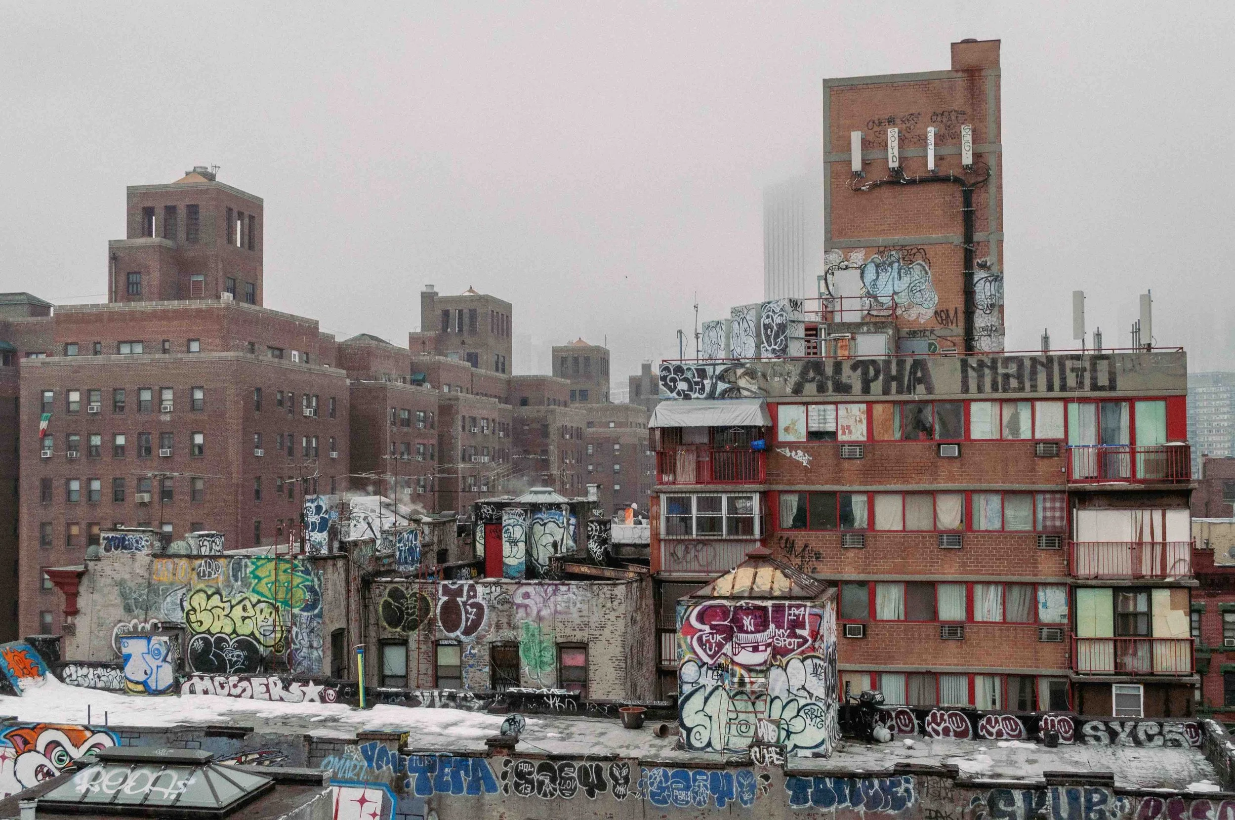 2015 Manhattan Bridge View - Manhattan NY L.jpg