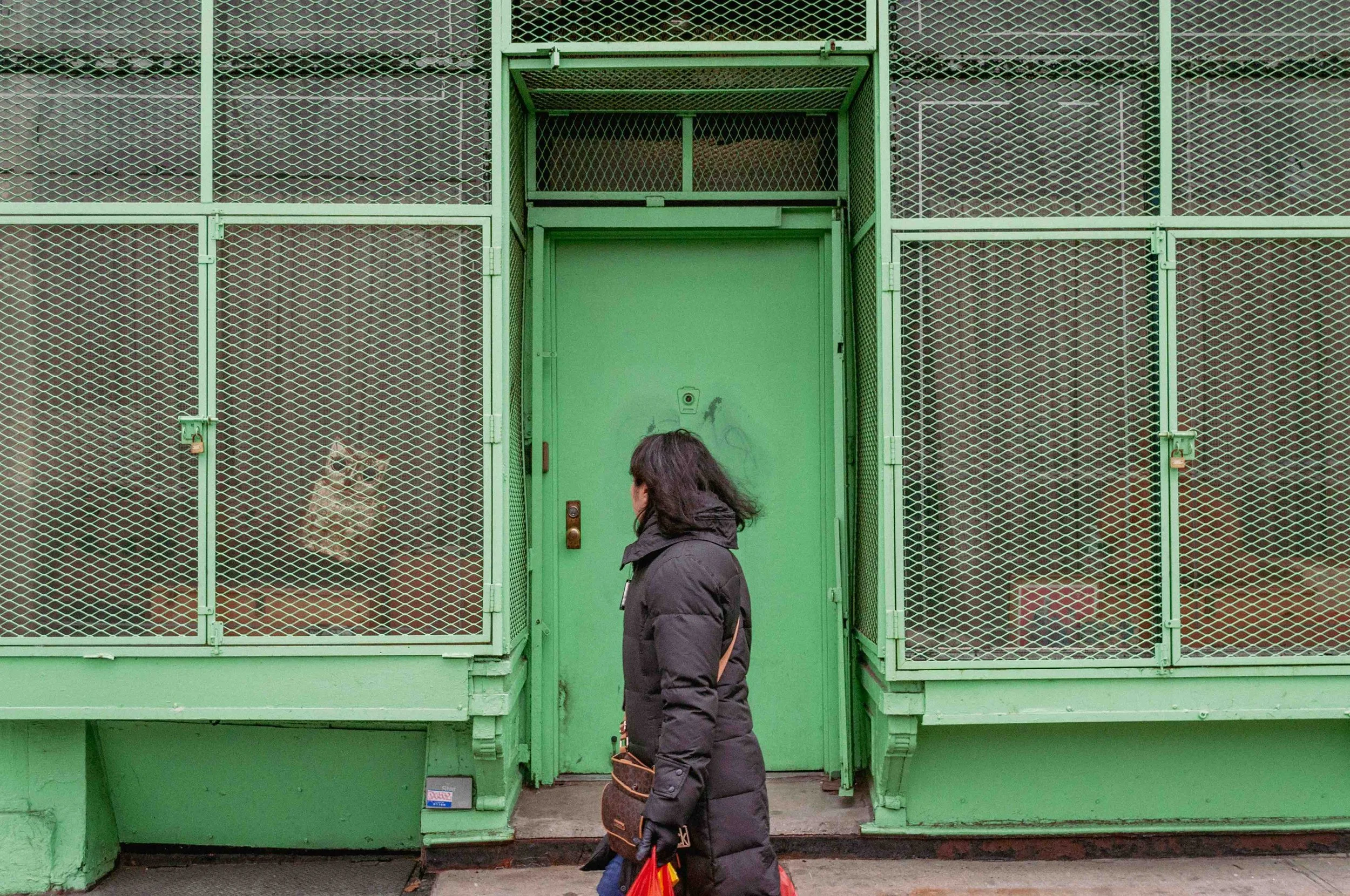 2015 Window Owl - Manhattan NY L.jpg