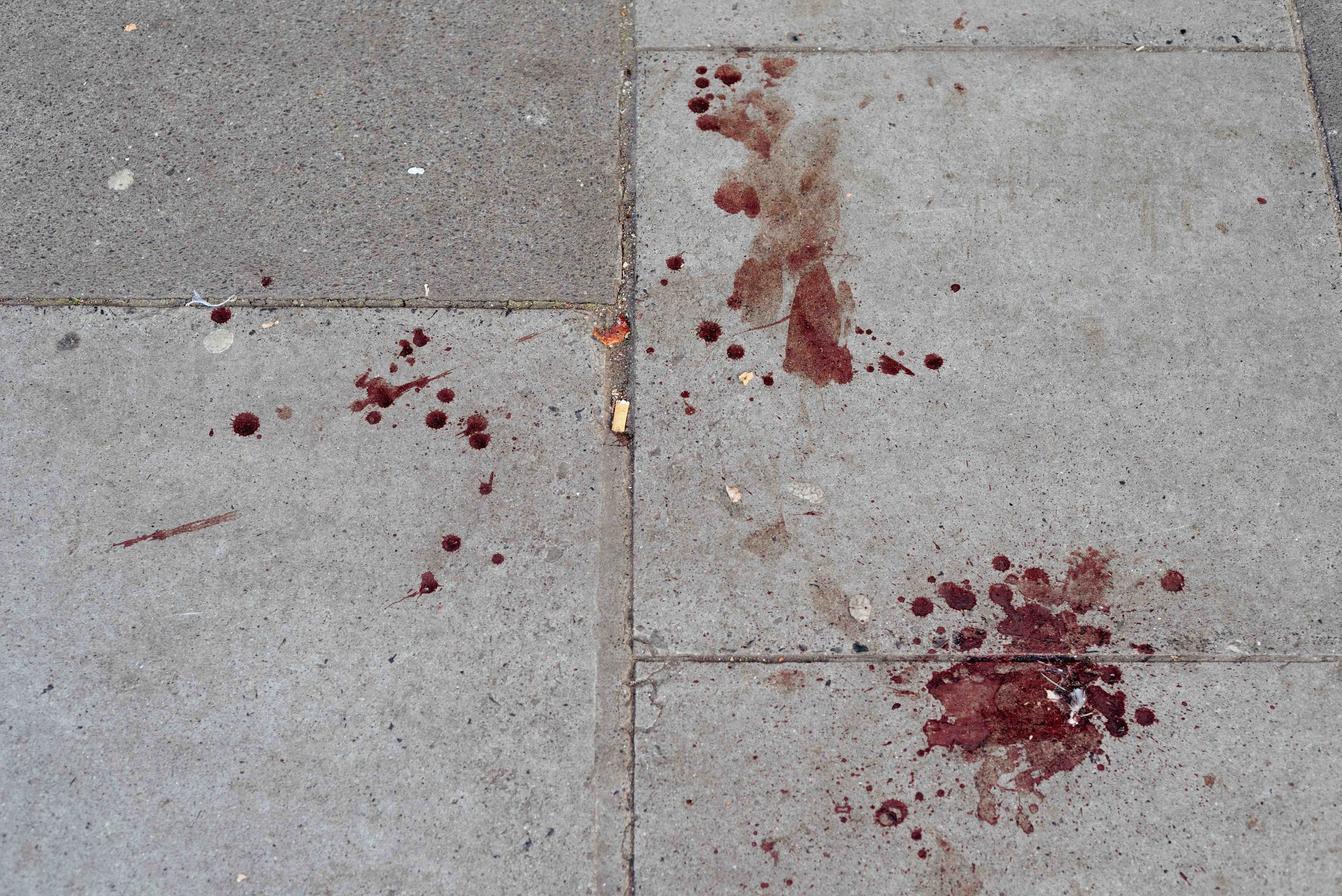 2025 Bloody Sidewalk - Dublin Ireland L.jpg