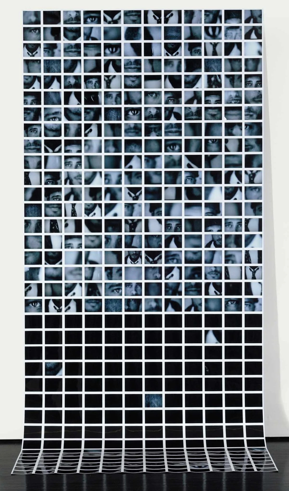 Echo and Narcissus and the Digital Age
