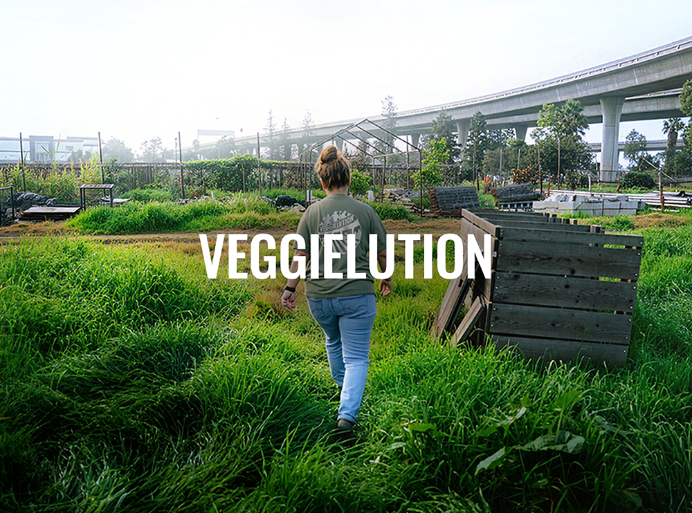 veggie1.png