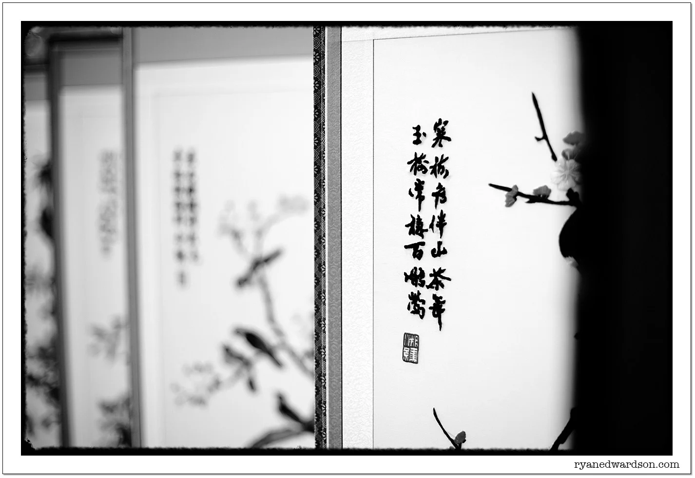 117-gallery2.jpg
