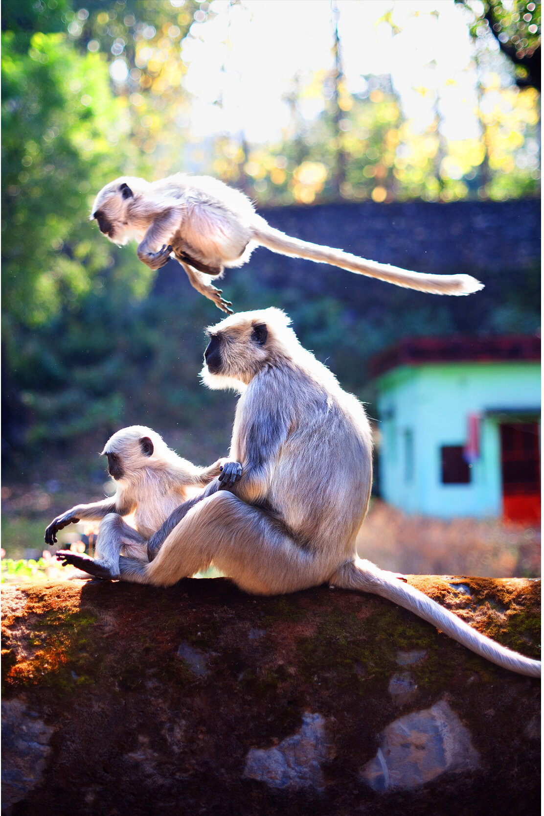 Parenthood