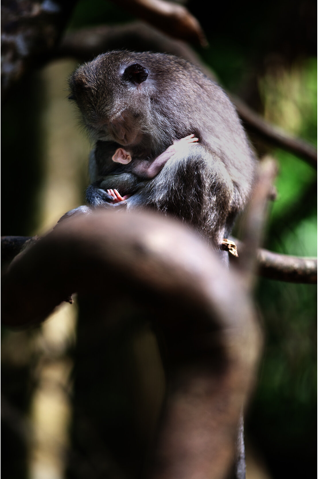 Mothering