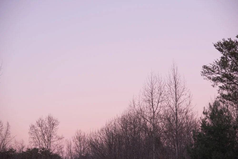 Charlottesville wedding sunset