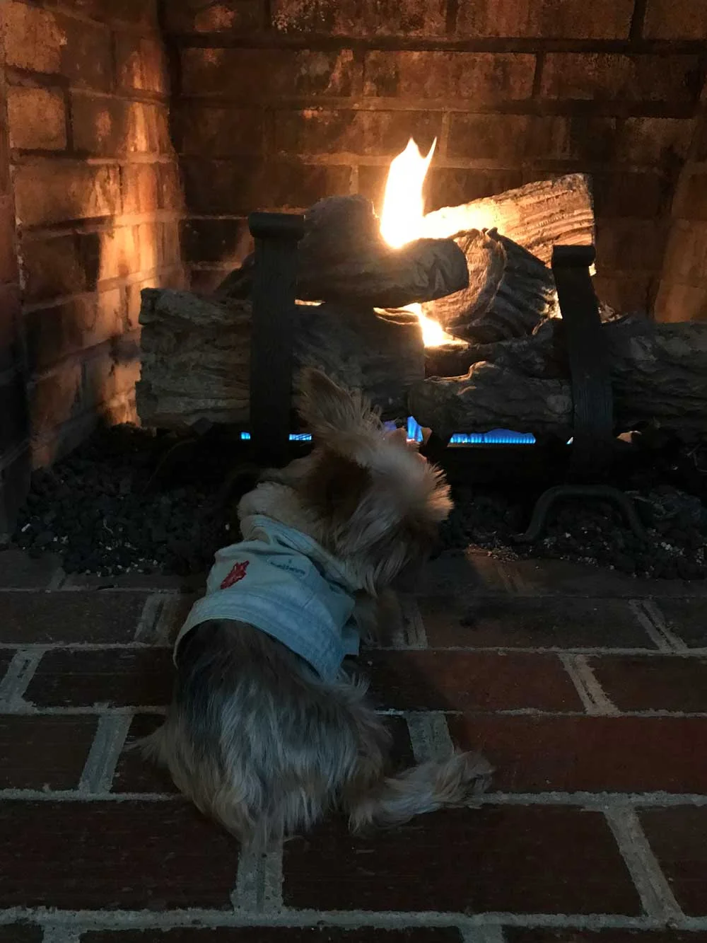 This fire is cool, but I cannot appreciate Lou’s cuteness fully this way. I can barely see her
