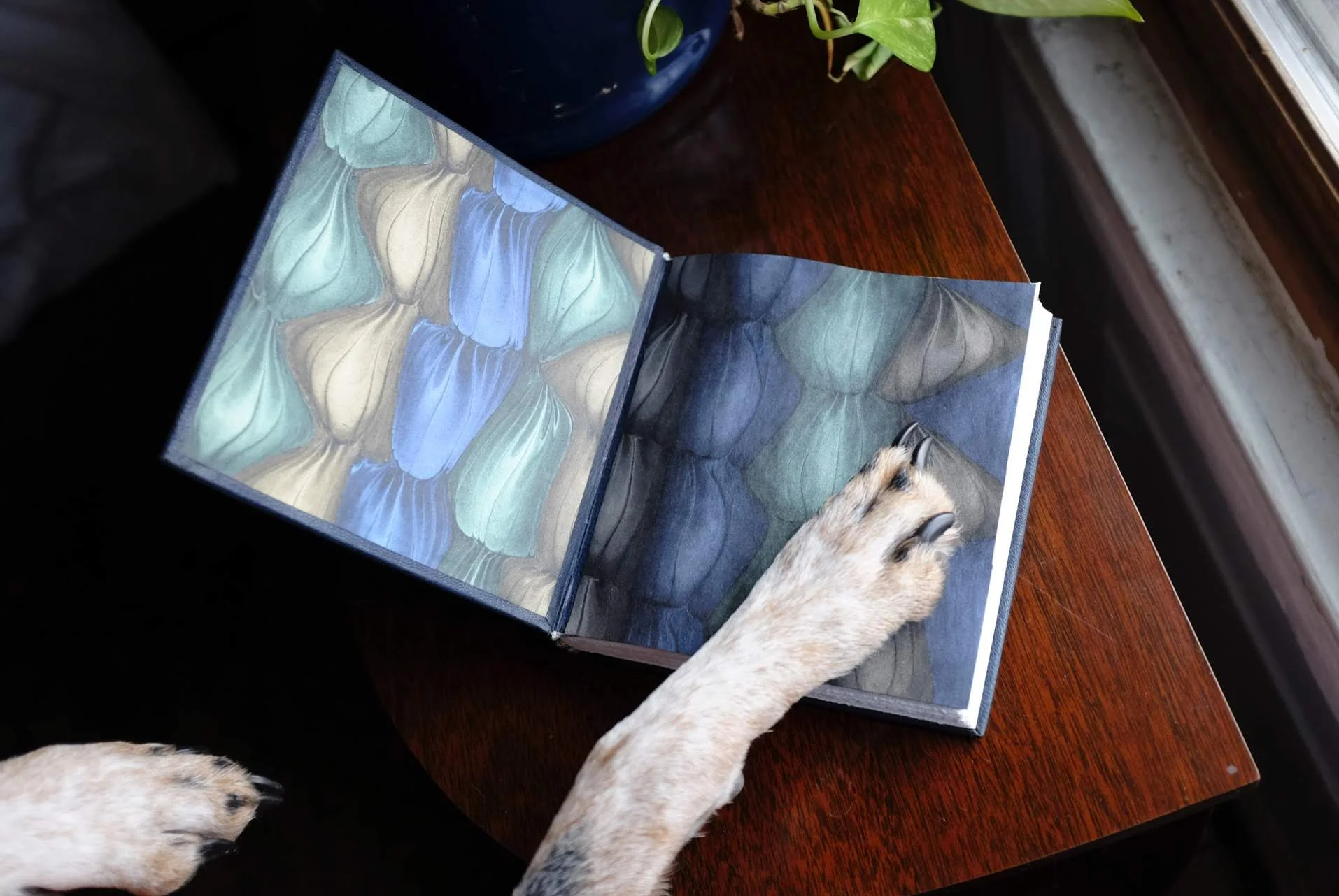 Charlie paw + Bailey book