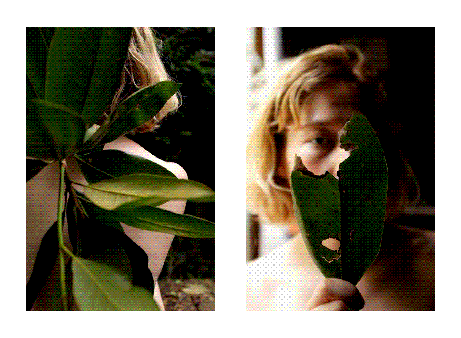 MagnoliaMe.gif