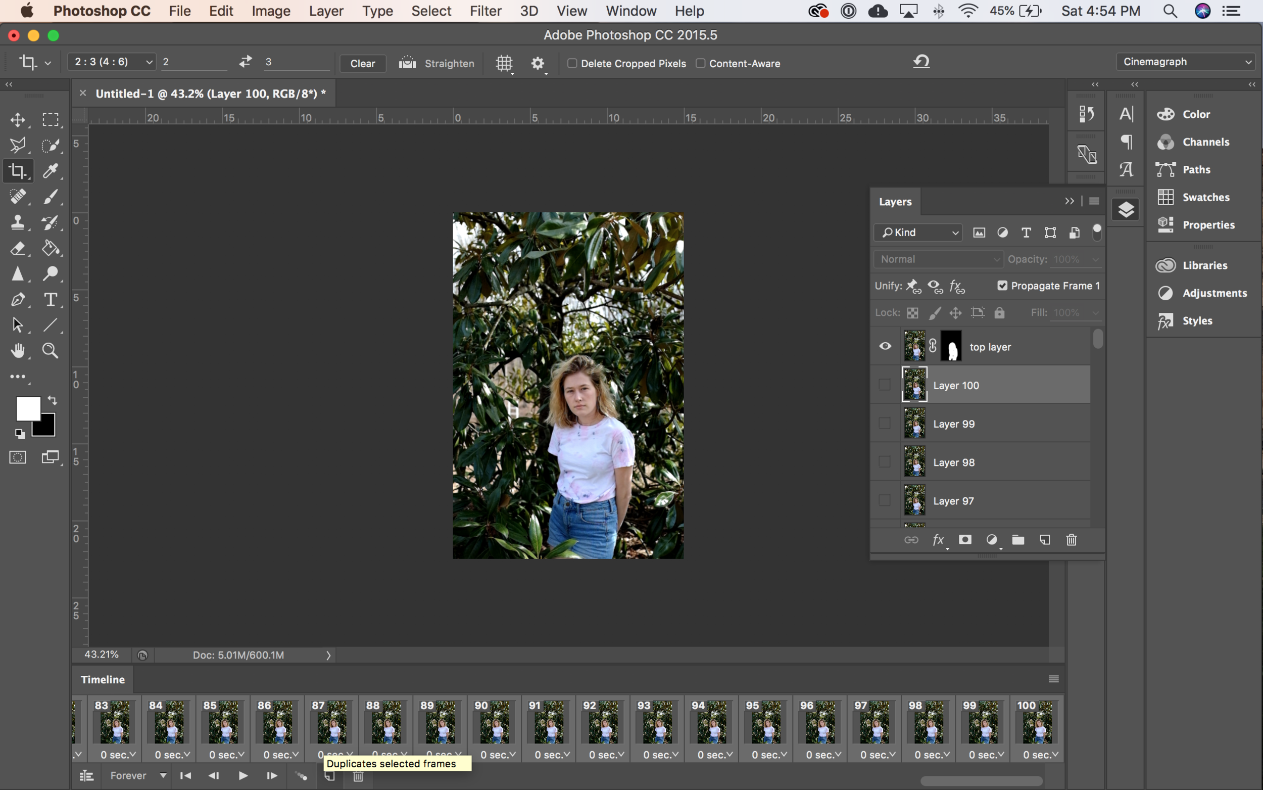 Screen Shot 2019-03-16 at 4.54.14 PM.png