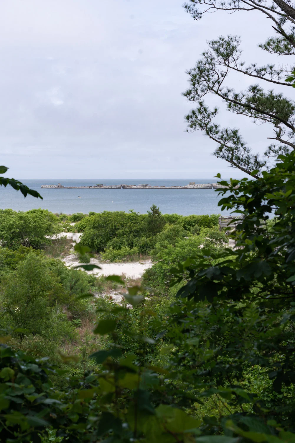 SpruseSami-87.jpg