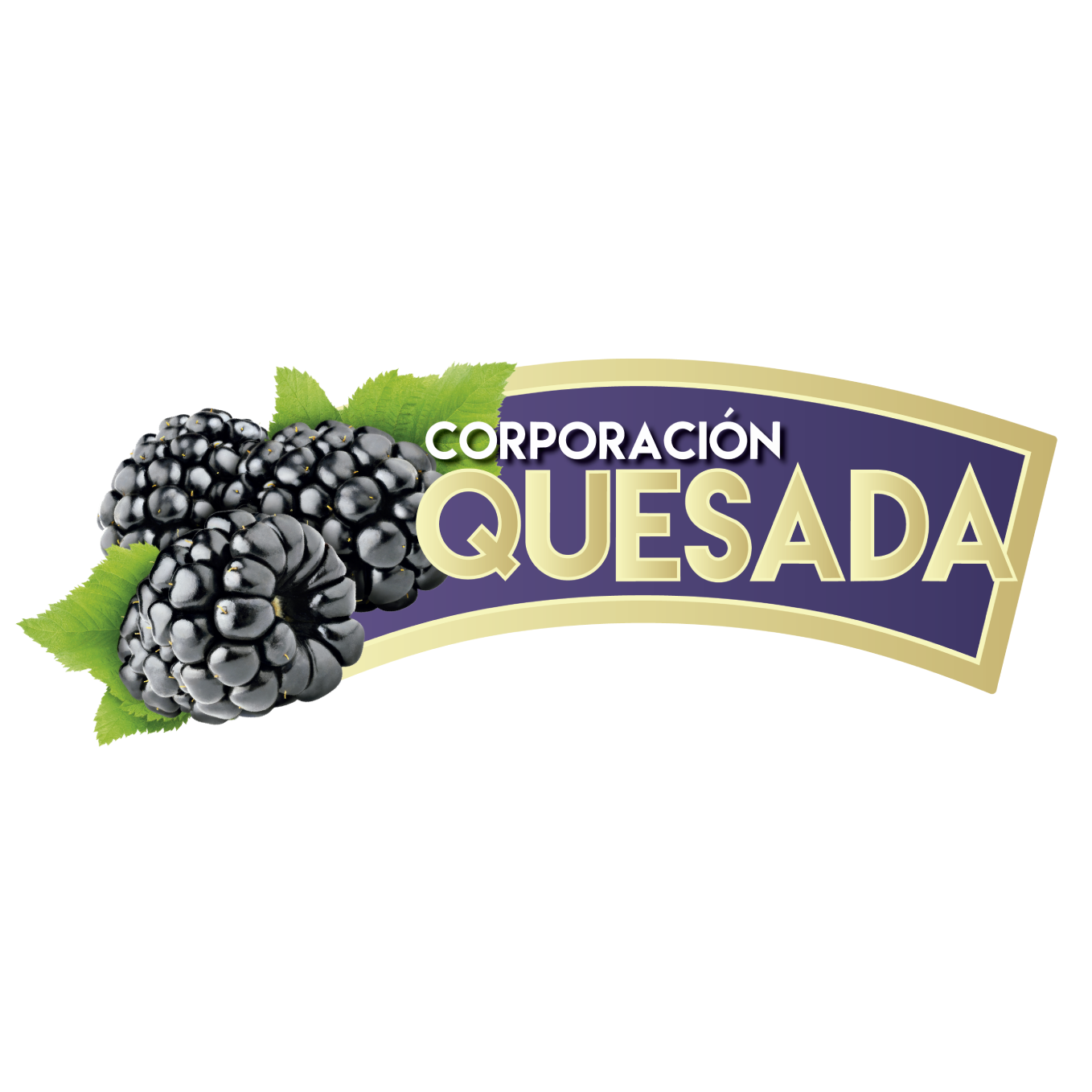 Corporación Quesada S.A.