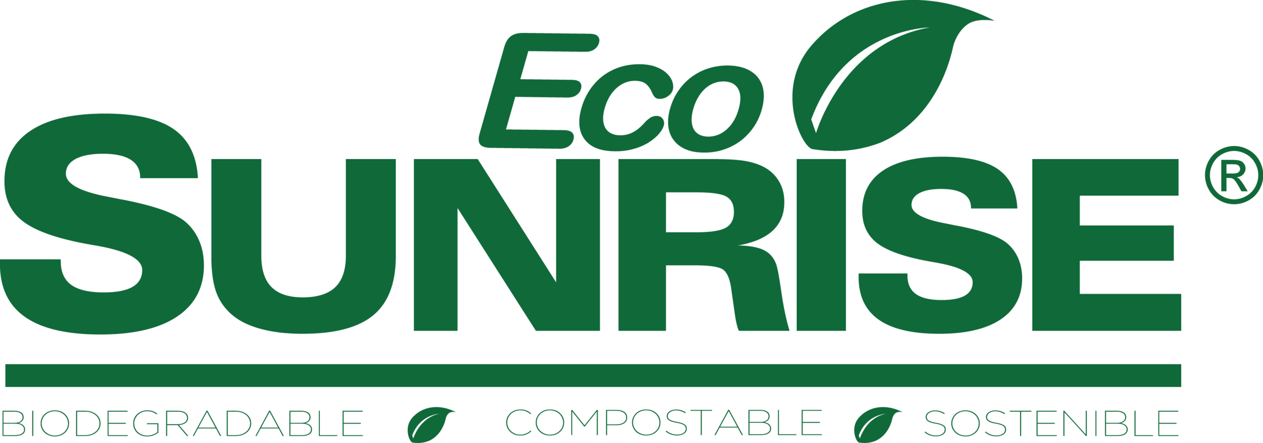 logo ecosunrise (1).png