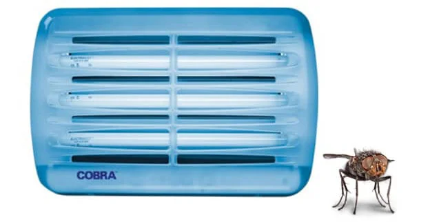 atrapa moscas exphore expo hoteles