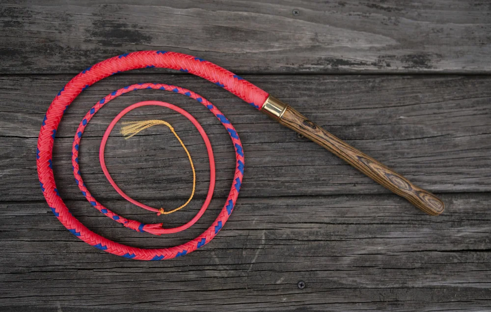 Wooden Handle Nylon Bullwhips — Nick's Whip Shop