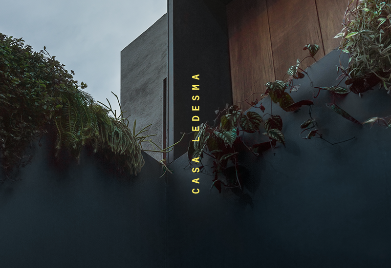 CASA LEDESMA MENU.png