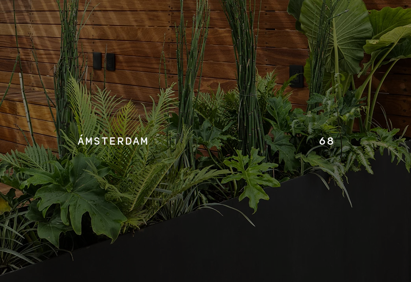 Menu_Amsterdam68.png