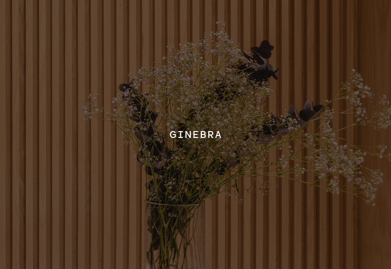 Menu_Ginebra.png