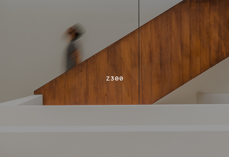 Menu_Z300.png