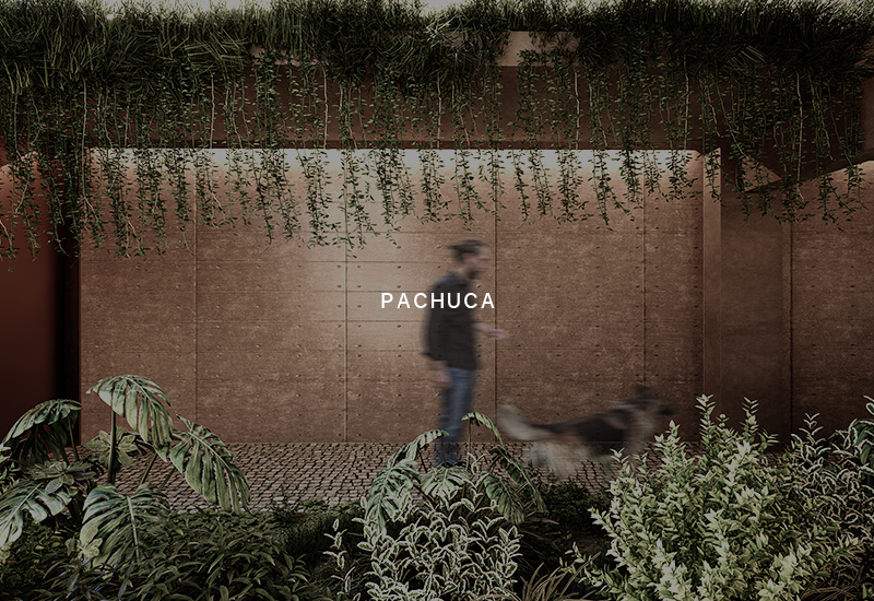 Pachuca 1.png