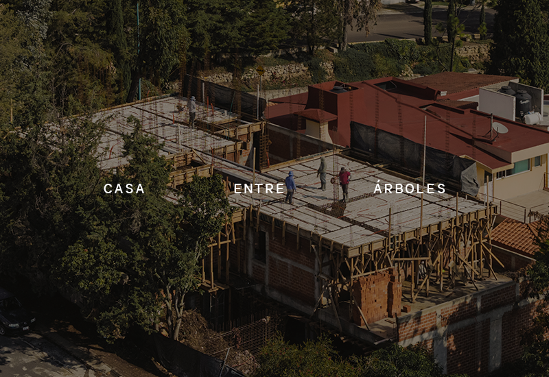 Casa entre arboles.png