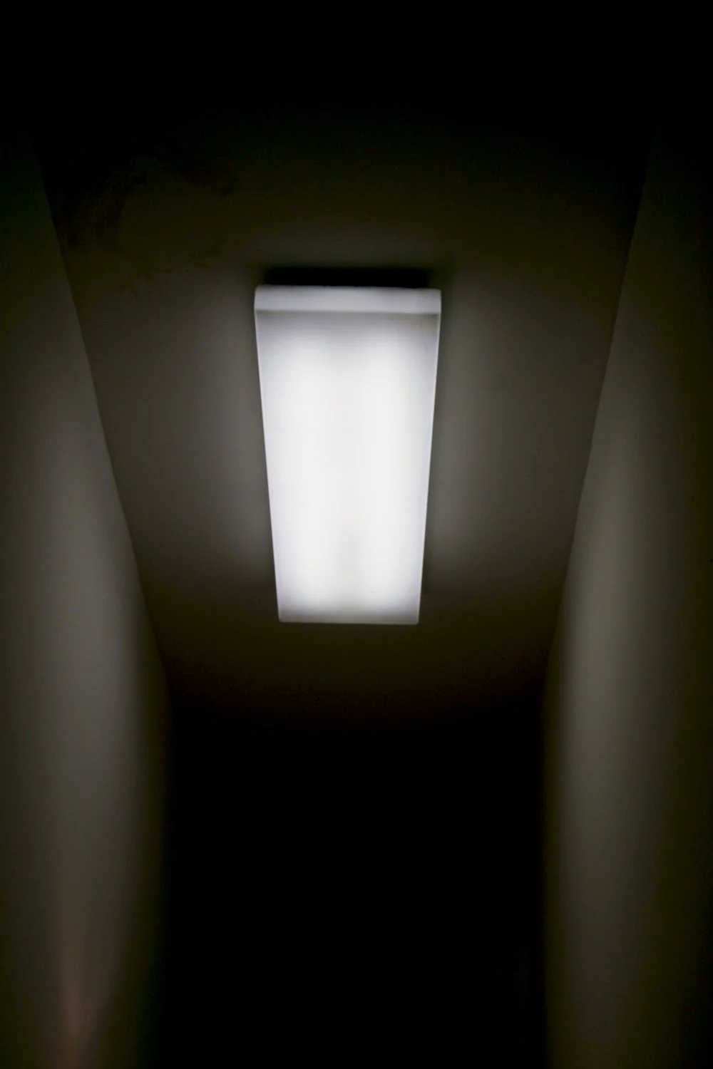 Fluorescence-2.jpg