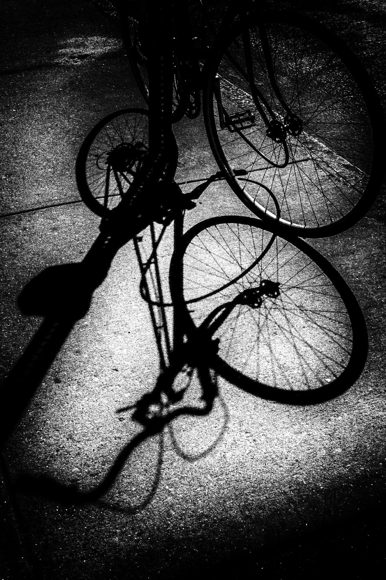 _DSC0209-Edit.jpg