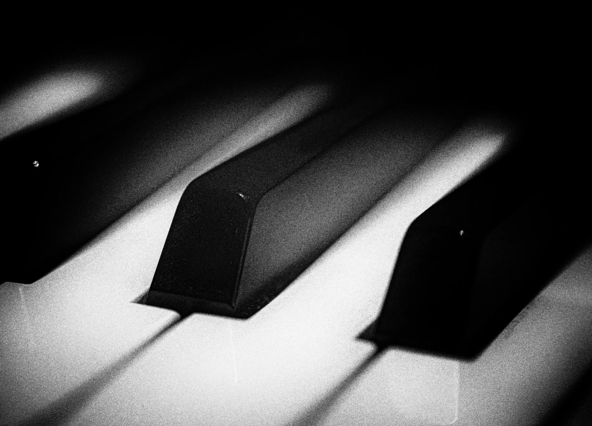 _DSC0984.jpg