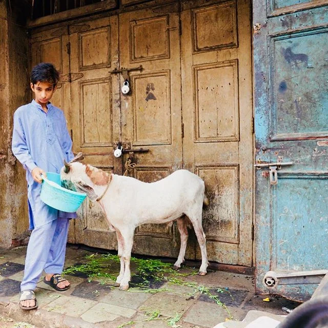 The Chor Bazaar in Mumbai, this is the real India, I love spending time in the markets and streets.
#streetphotography #chor #market #bazaar #India #child #Goat #streetlife #urbexphotography #doors #life