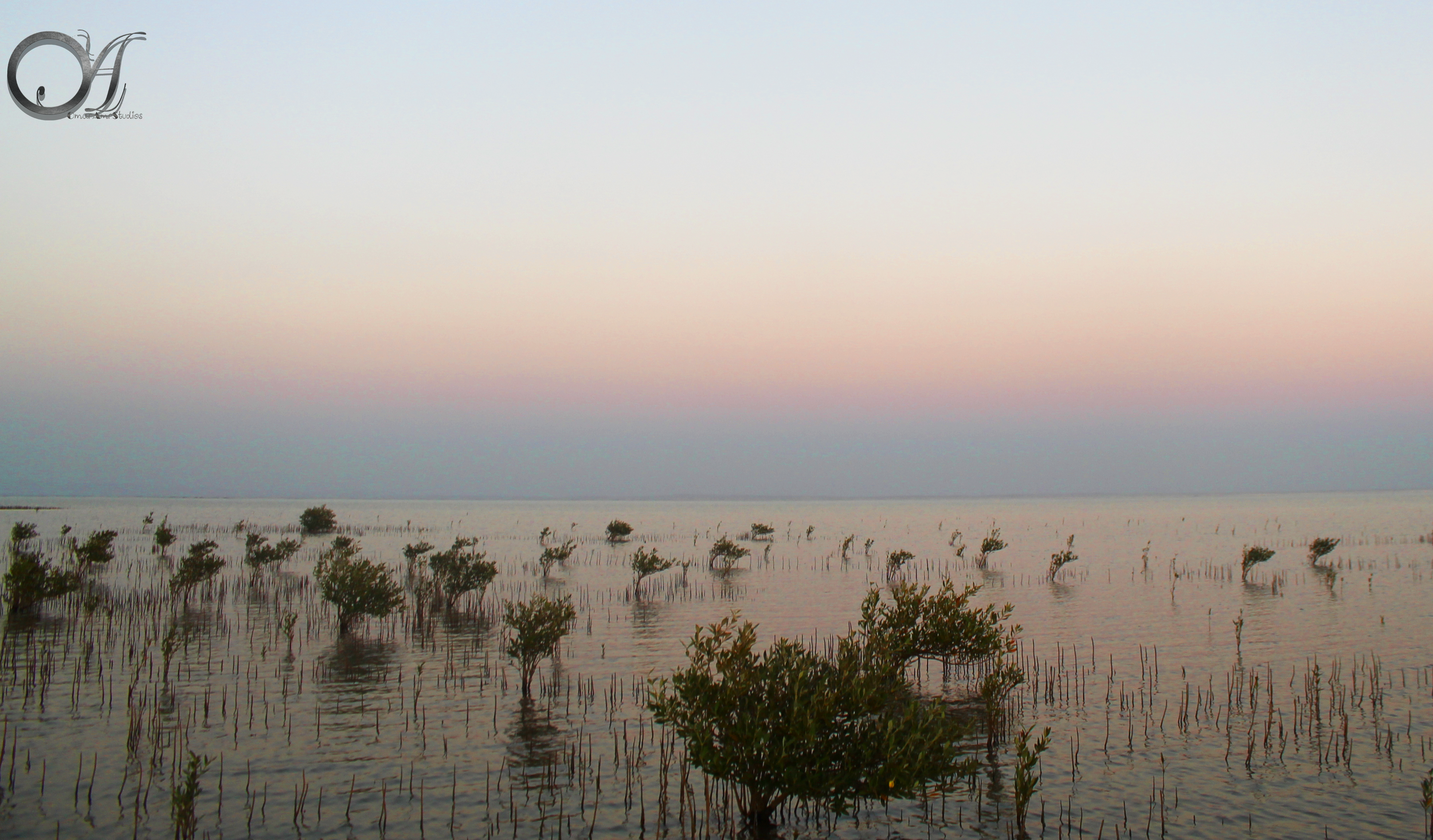 Behind the mangrove. There’s only sea and the moon.