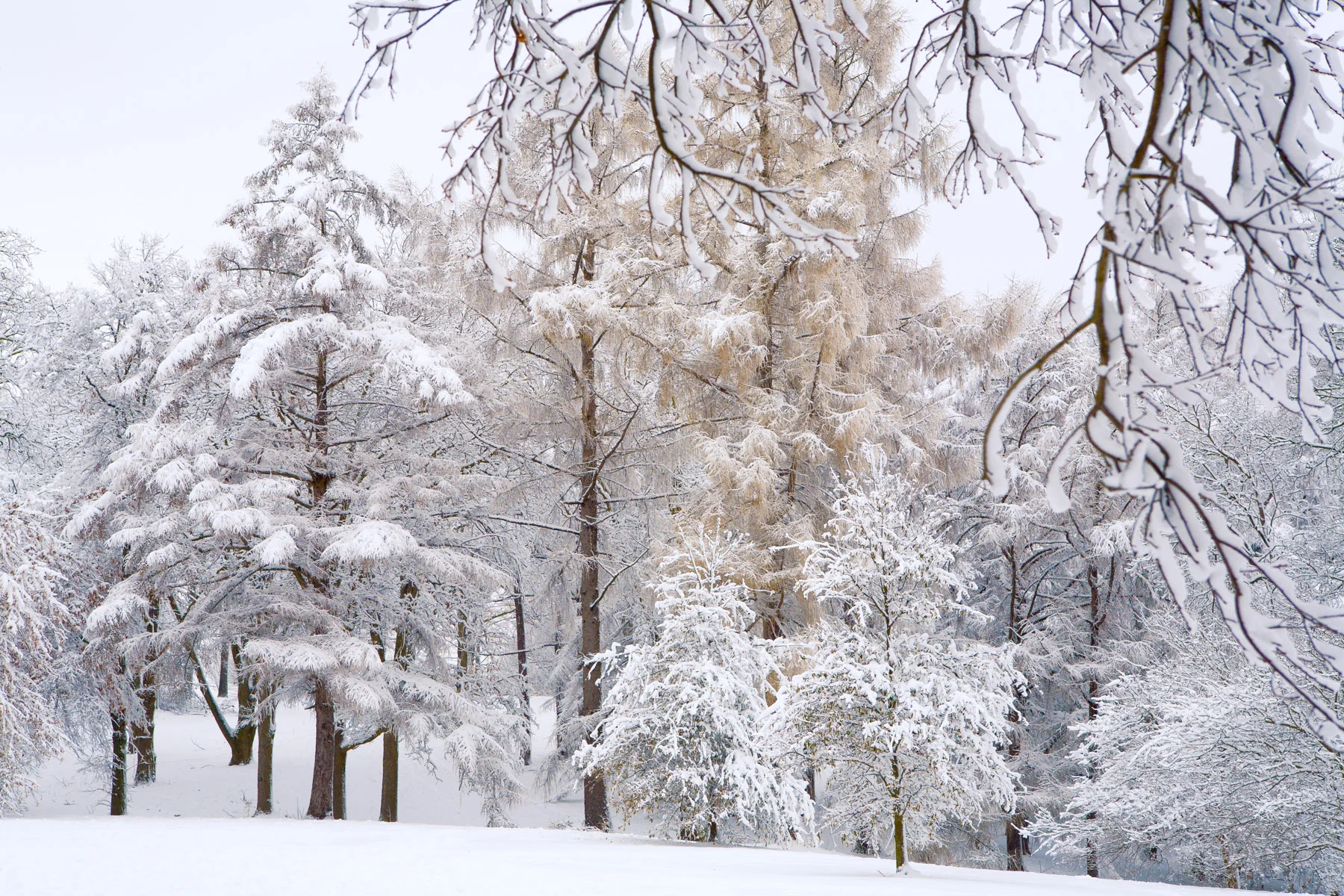 MBond_080115_6844-2.jpg