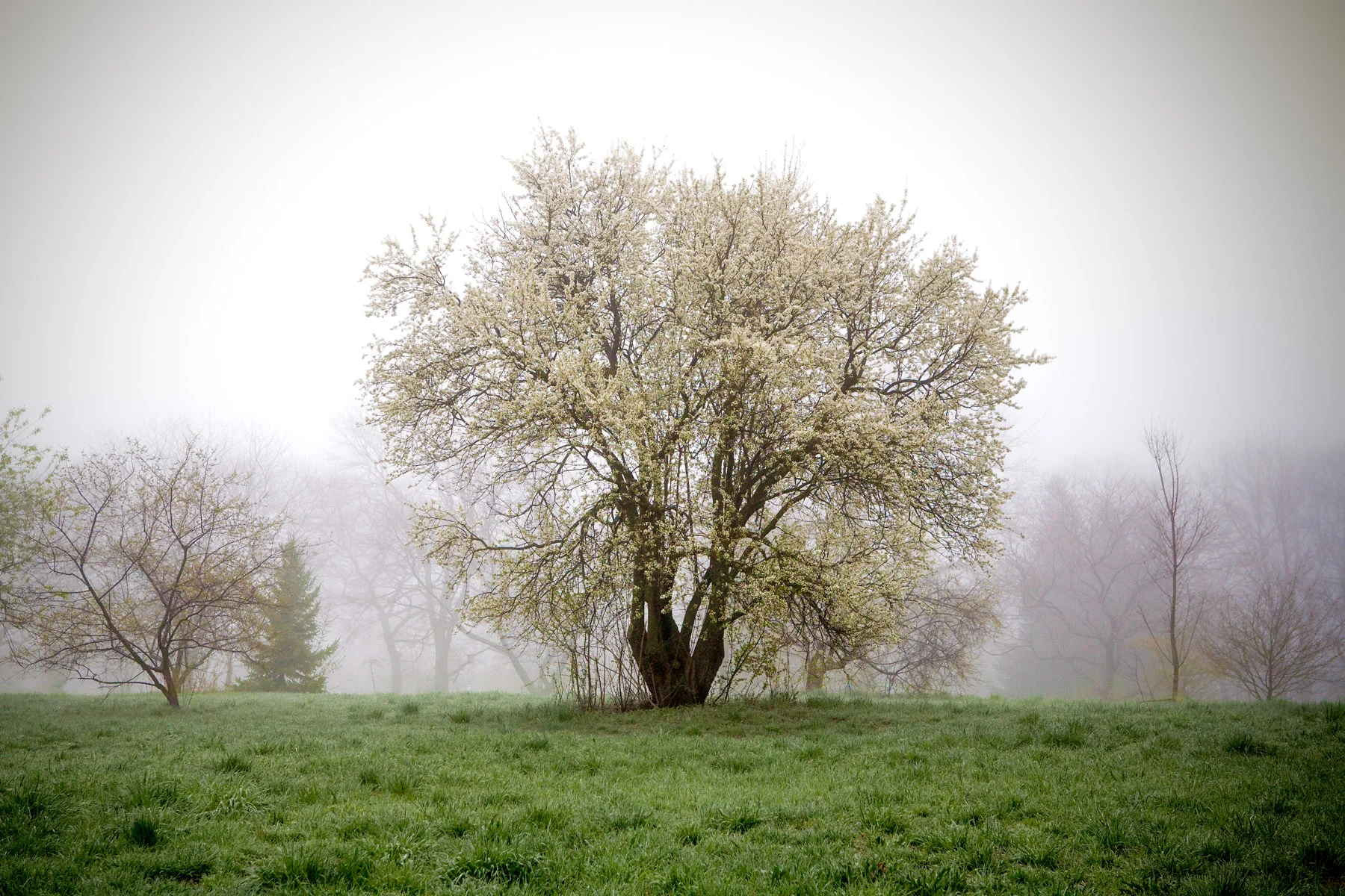 MBond_110426_3985-2.jpg