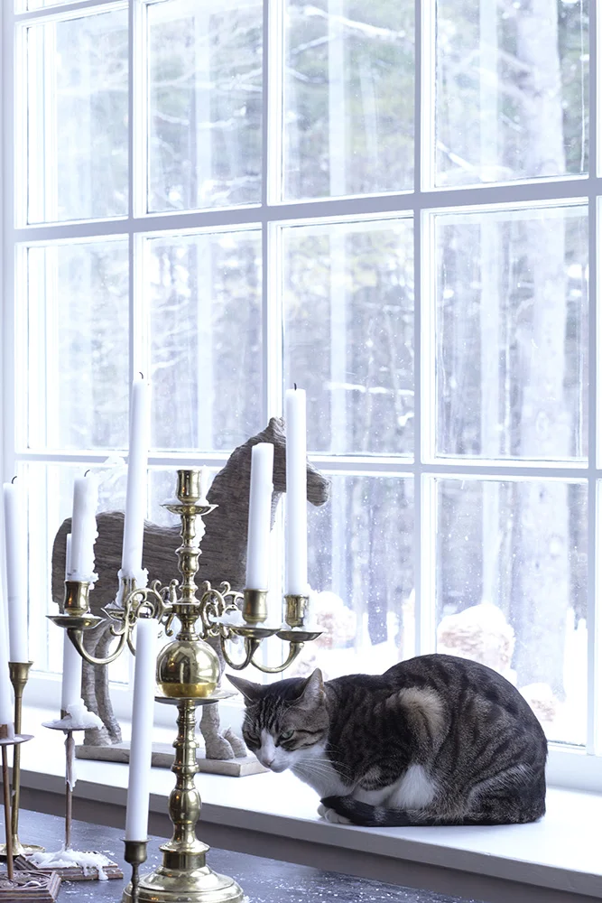 IP003_MAKAWEIN_SHUNTOLL_DINING5_CAT- copy.jpg